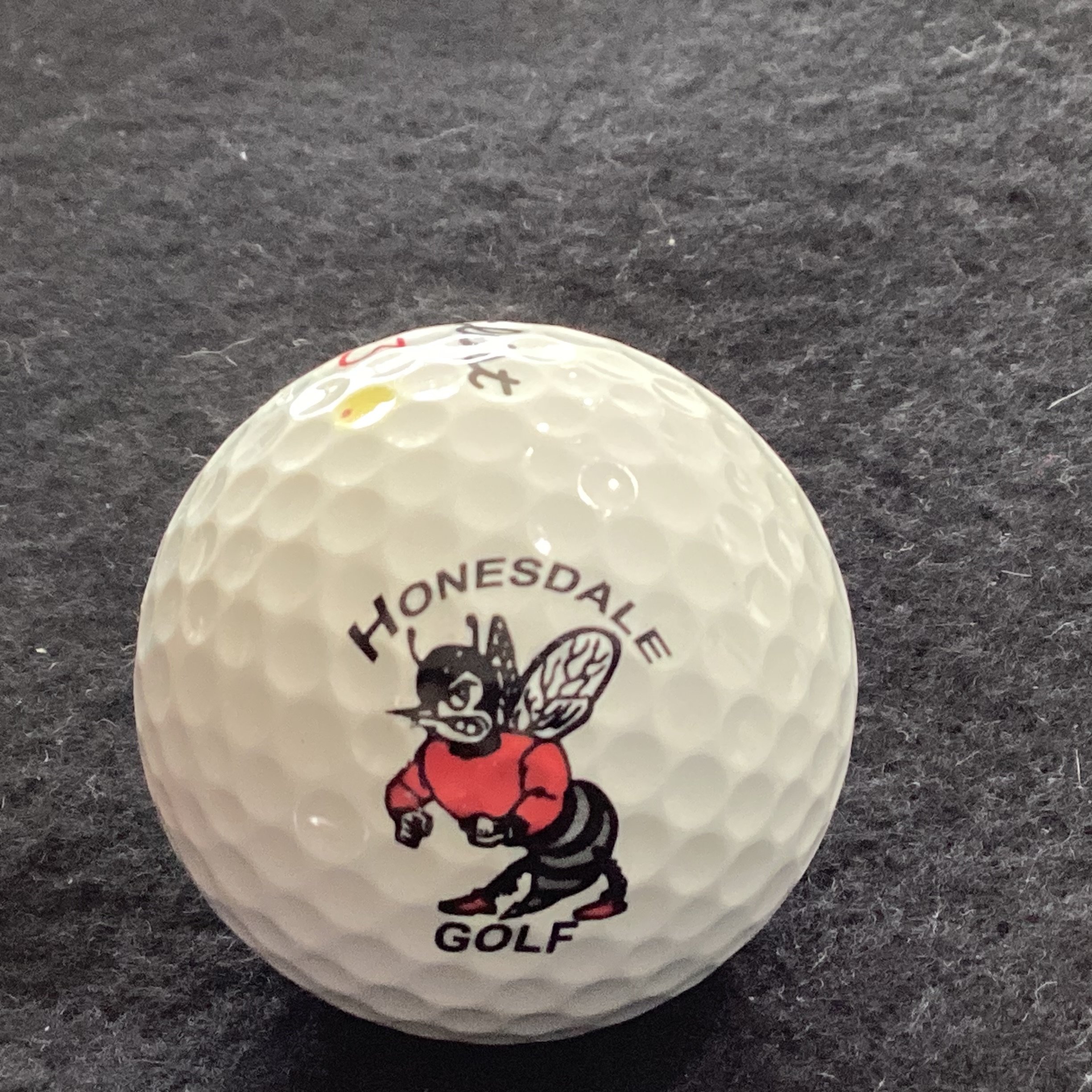 Honesdale High School Hornets Golf Team
