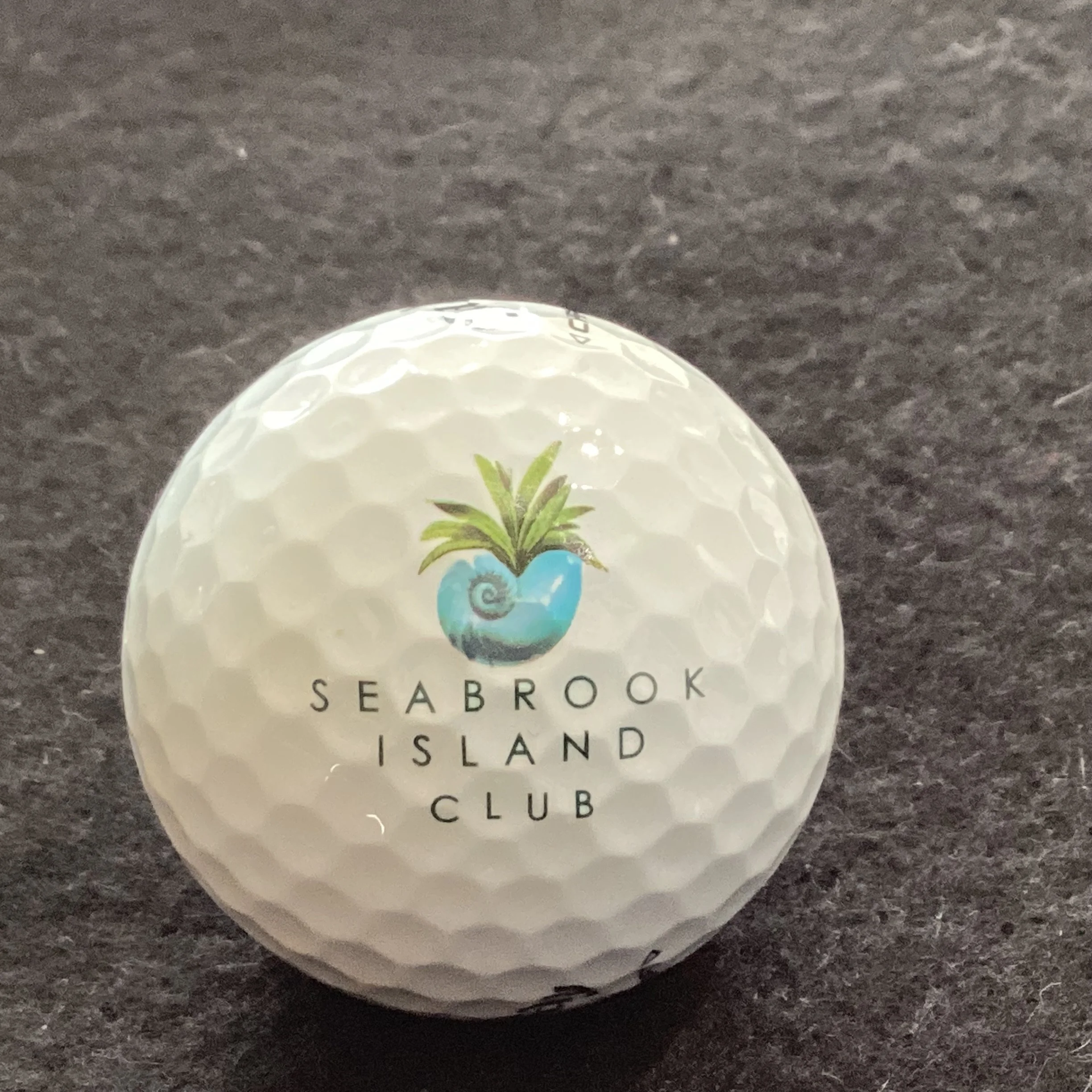 Seabrook Island Club