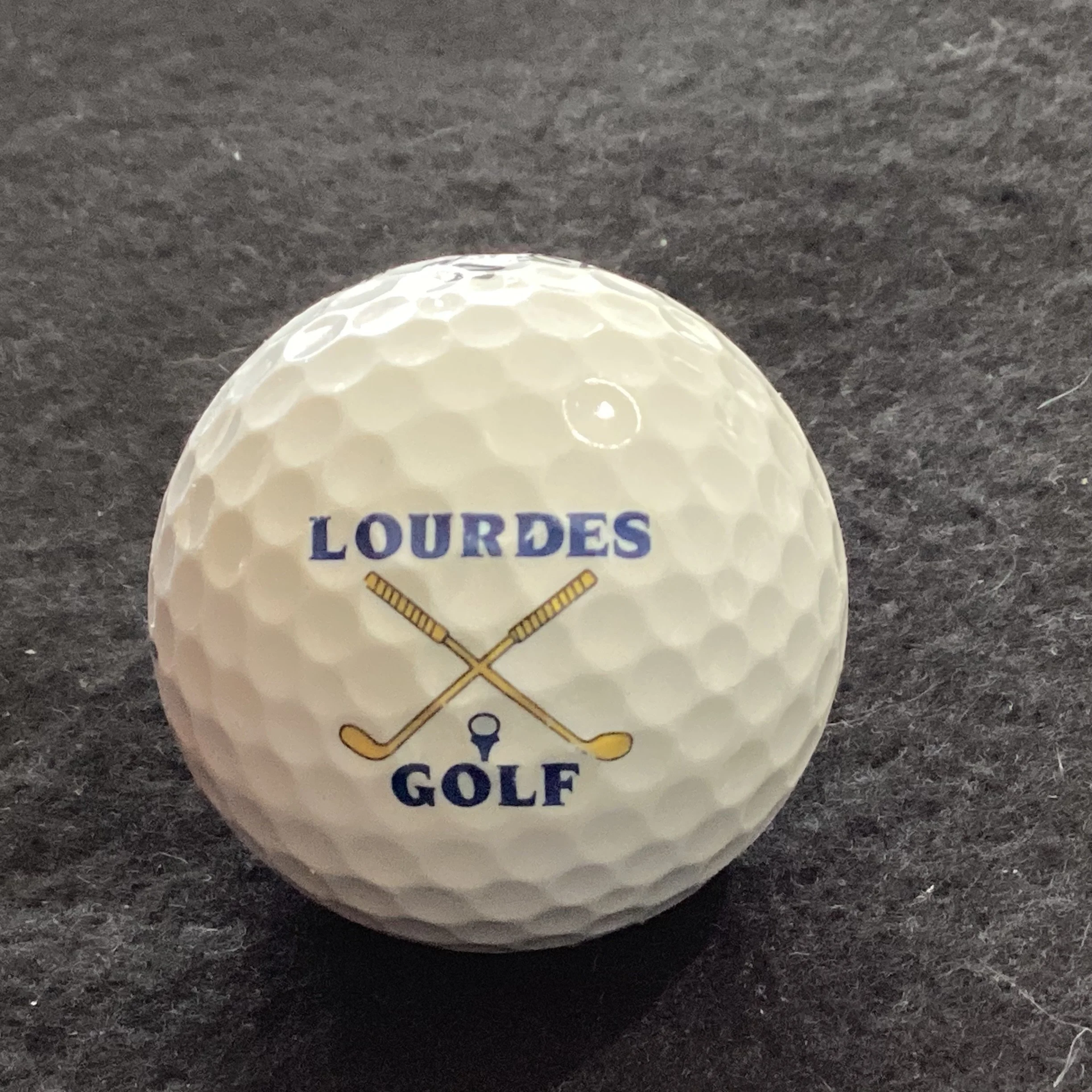 Lady of Lourdes School Golf Team
