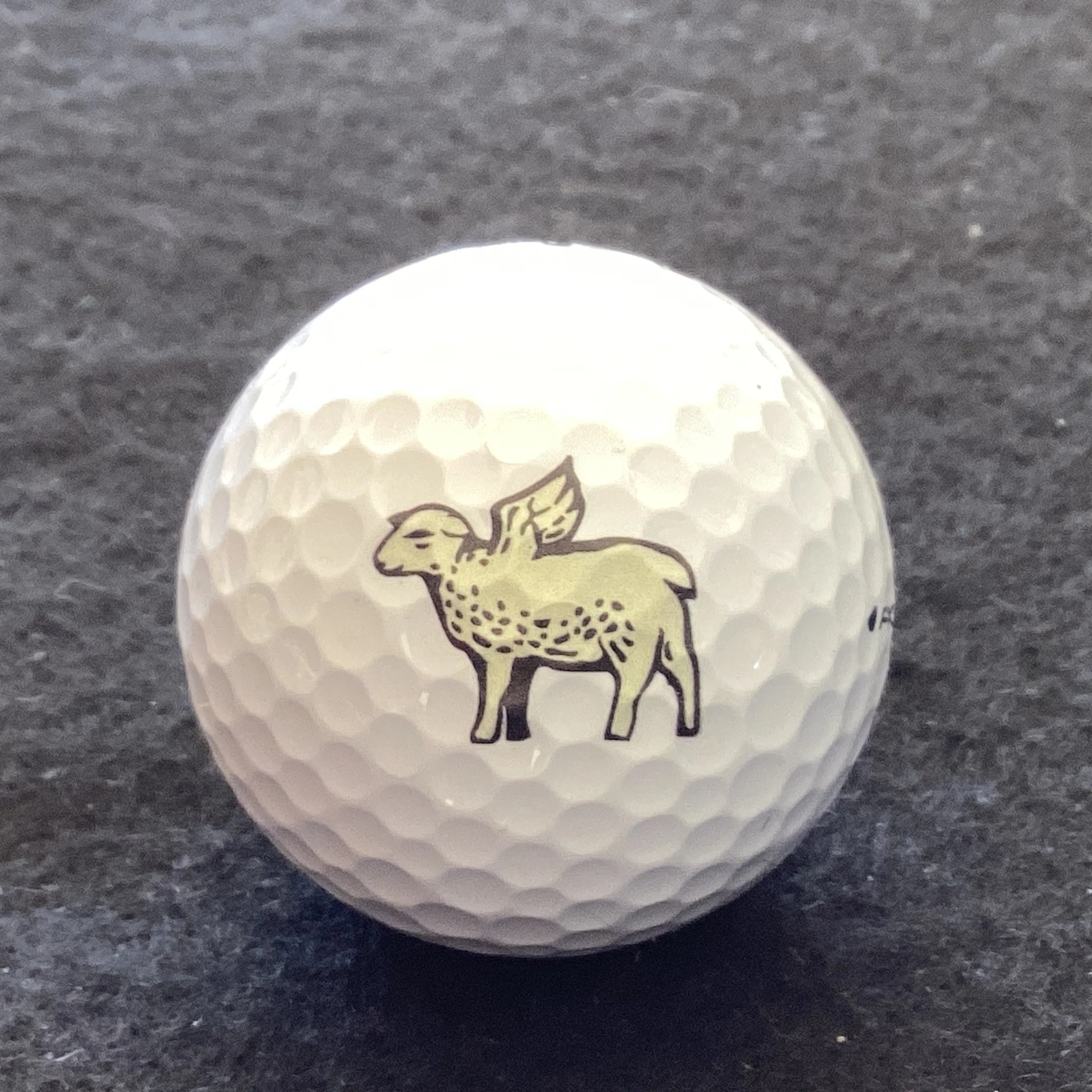 Brambles Golf Club 