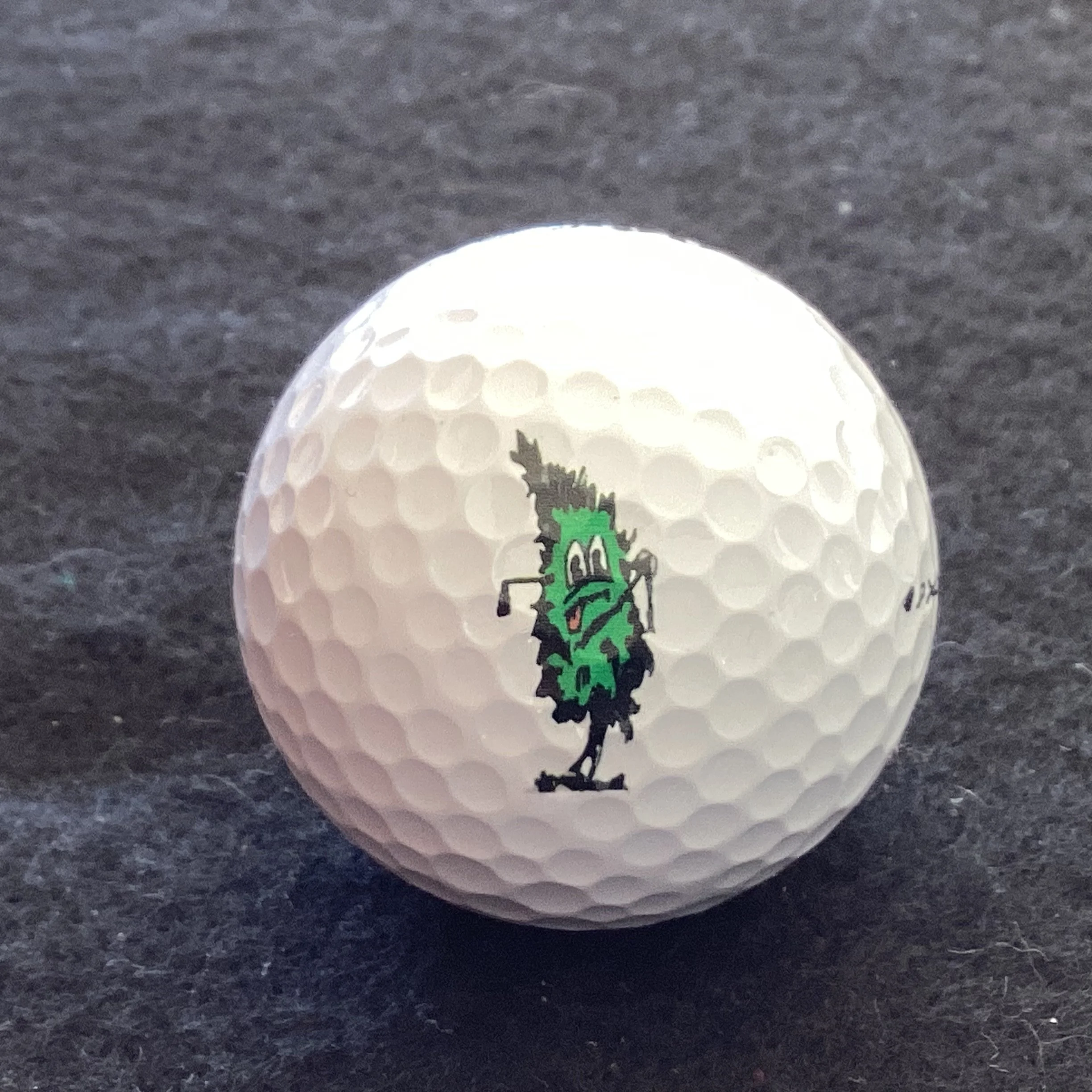 Tree Farm Golf Course 