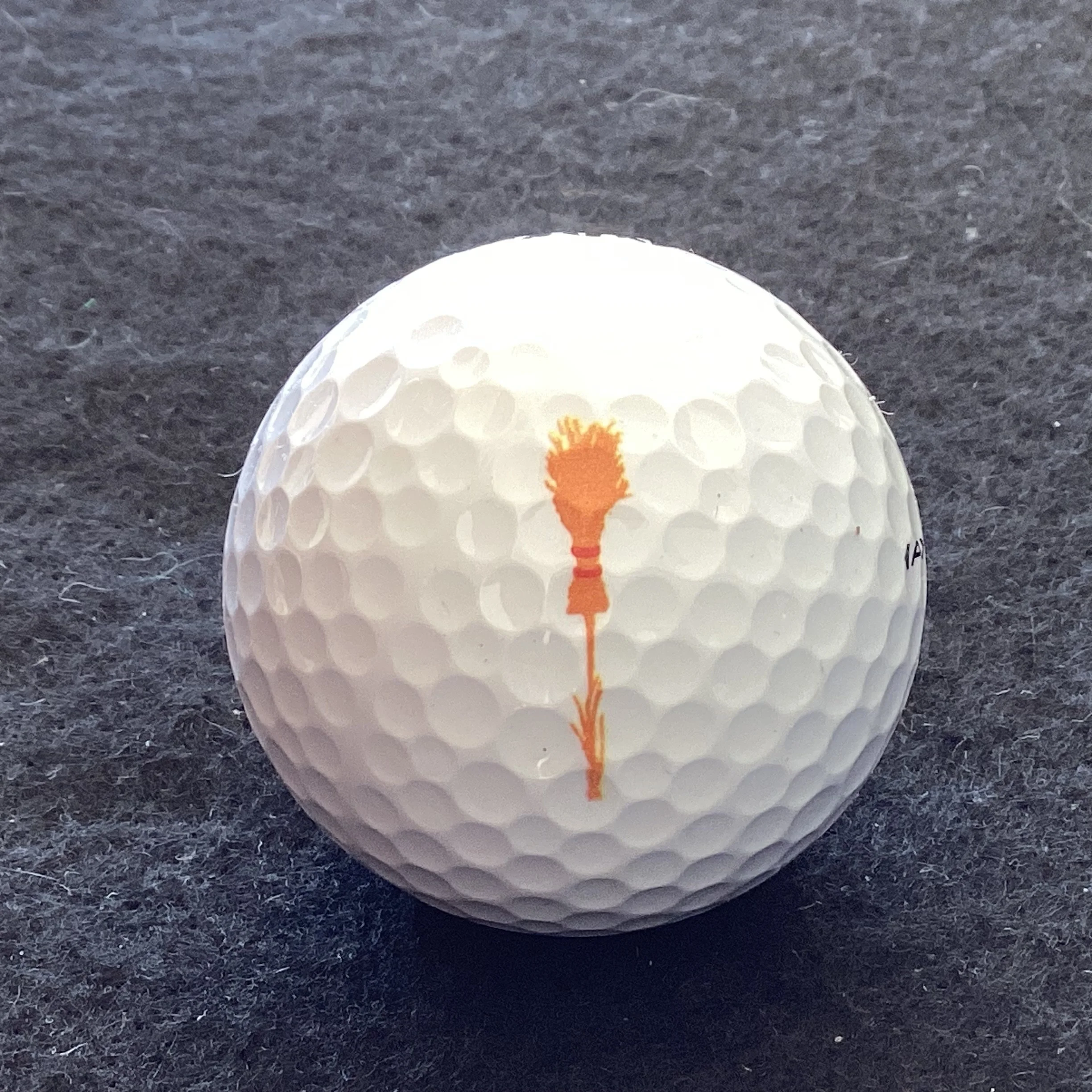 Broomsedge Golf Club 