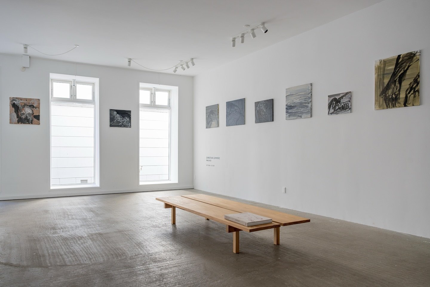 Christian Lemmerz: Fracaso 2/11 2024 - 1/2 2025. 

The current exhibition presents a series of small &ldquo;diary paintings&rdquo; from the last four years. &ldquo;Fracaso&rdquo; is Spanish for failure, bad luck or breakdown.

Opening hours: Thu-Fri 