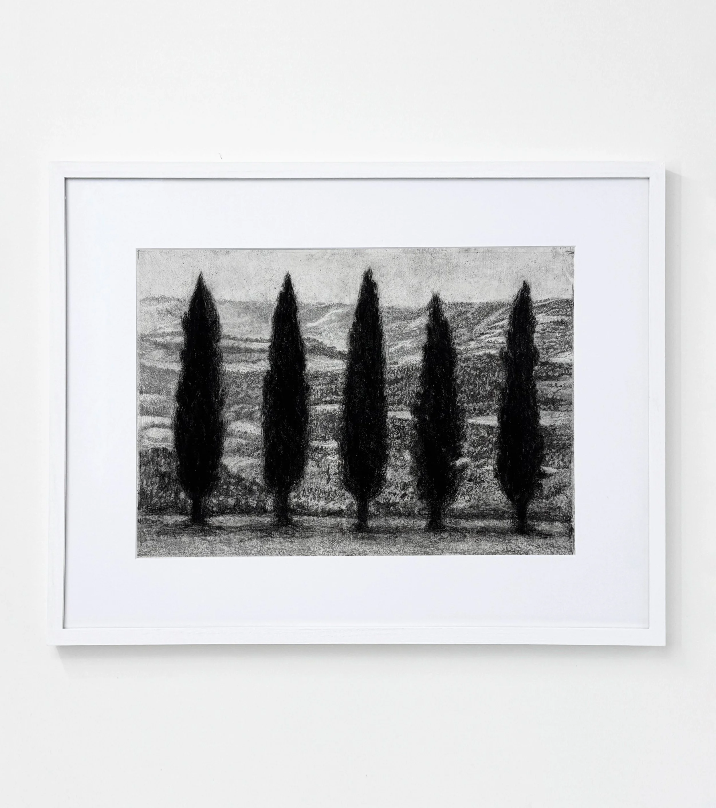 Marielle Göthberg Uden titel (Cypresser), 2025, bly på papir, 16 x 23 cm.jpg