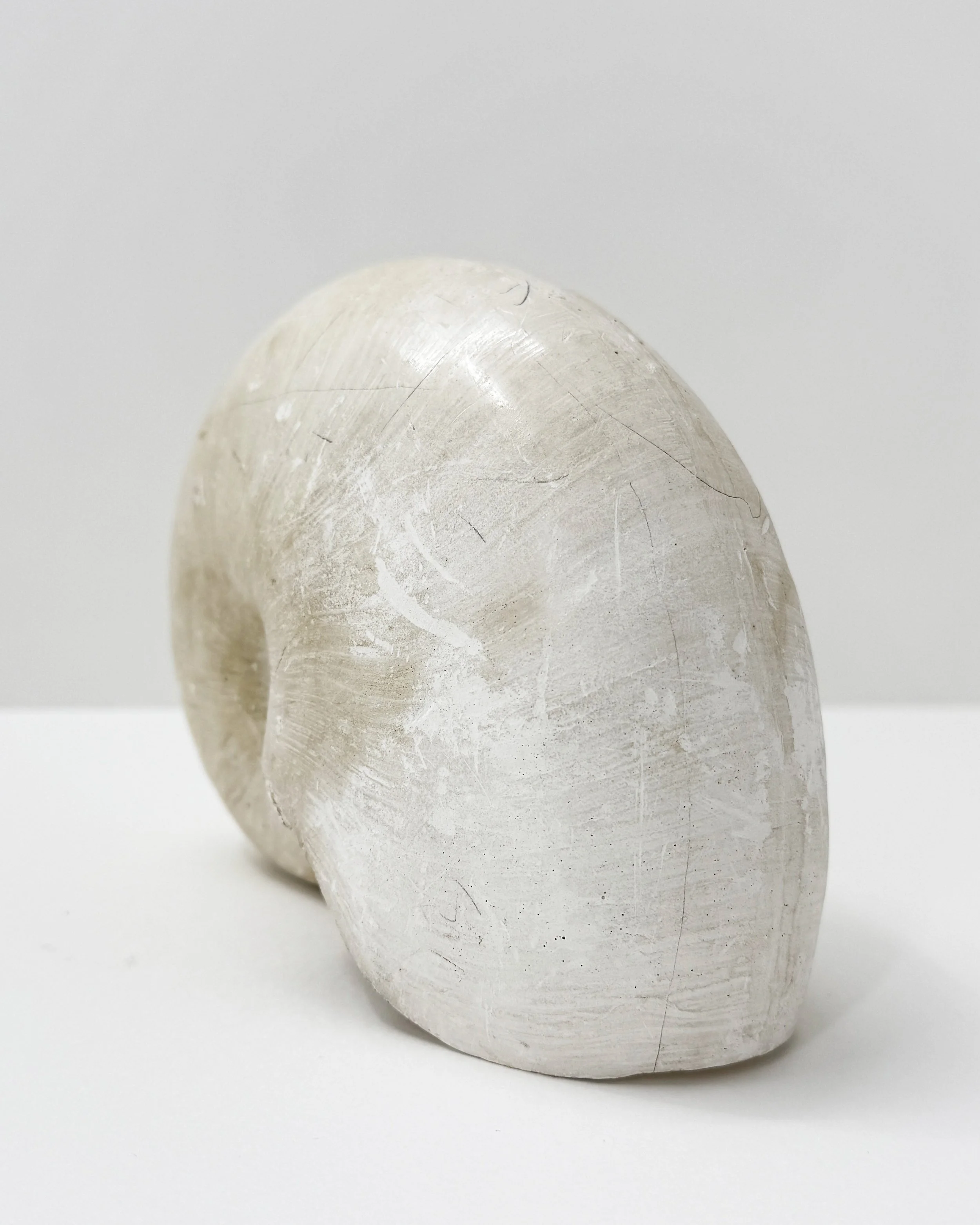 JO-S 03 Nautil-2a.jpg