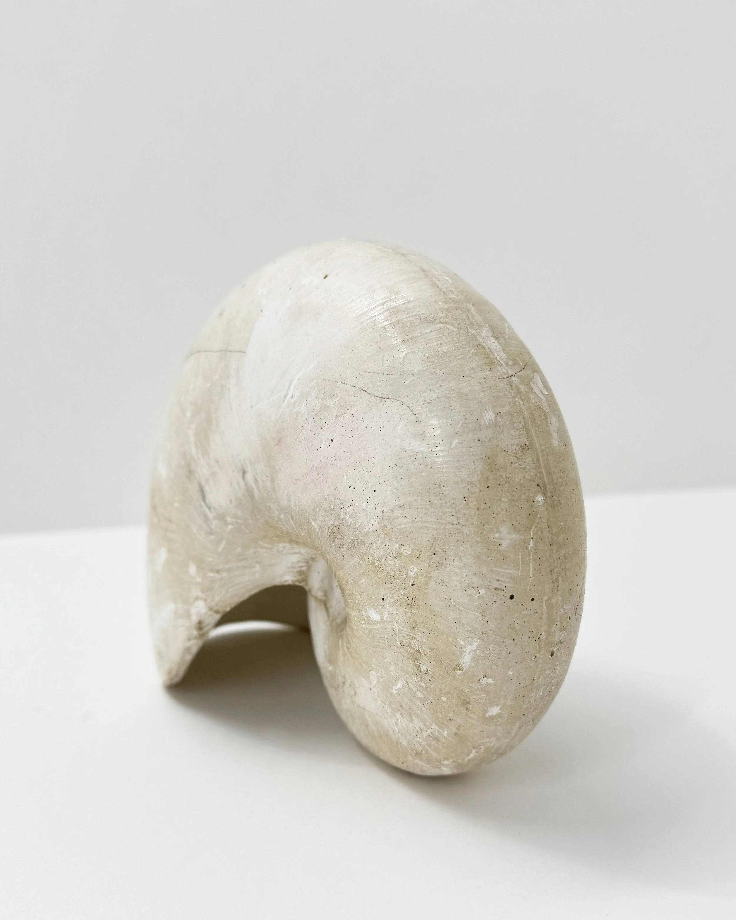 JO-S 03 Nautil-2b.jpg