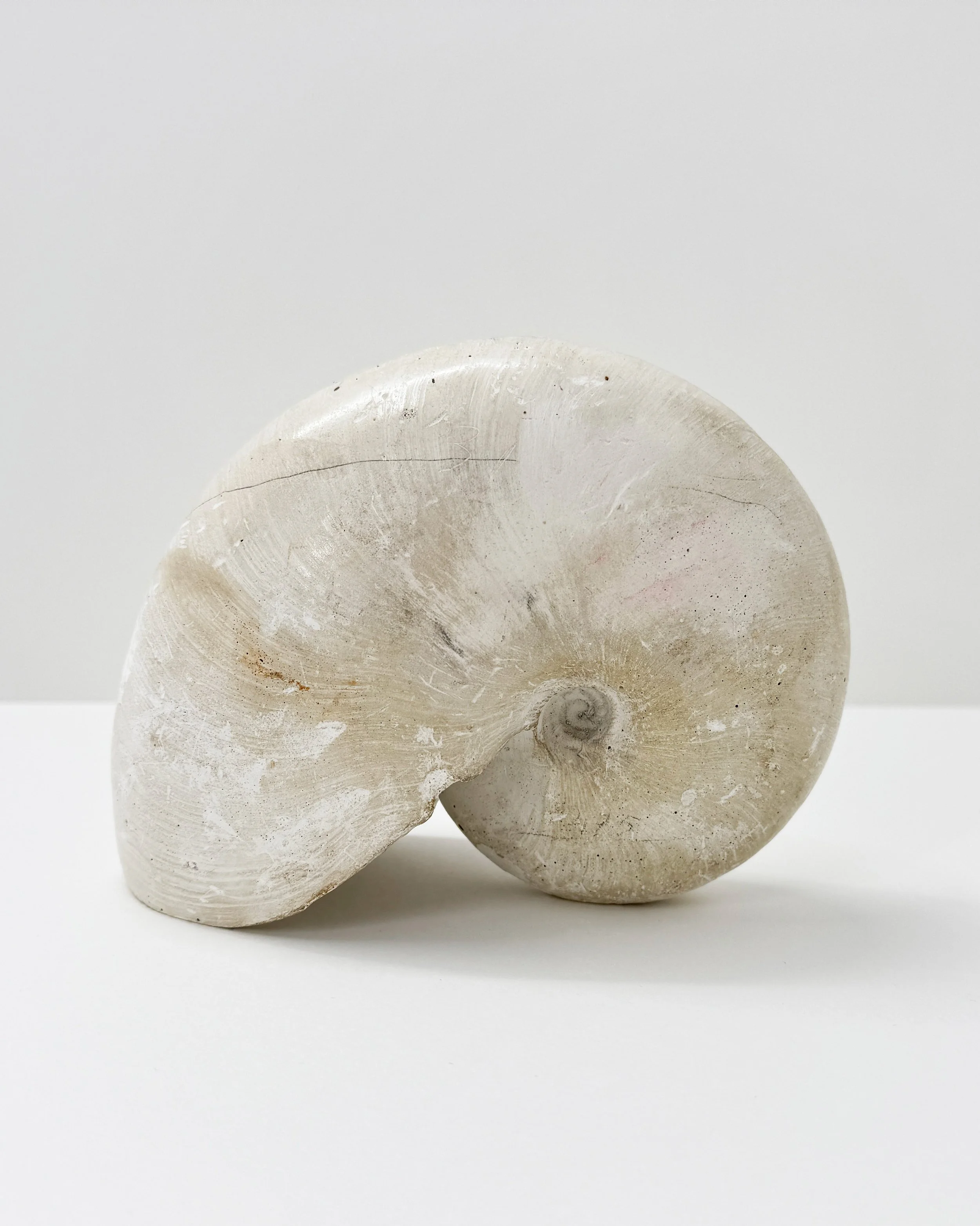 JO-S 03 Nautil-2.jpg