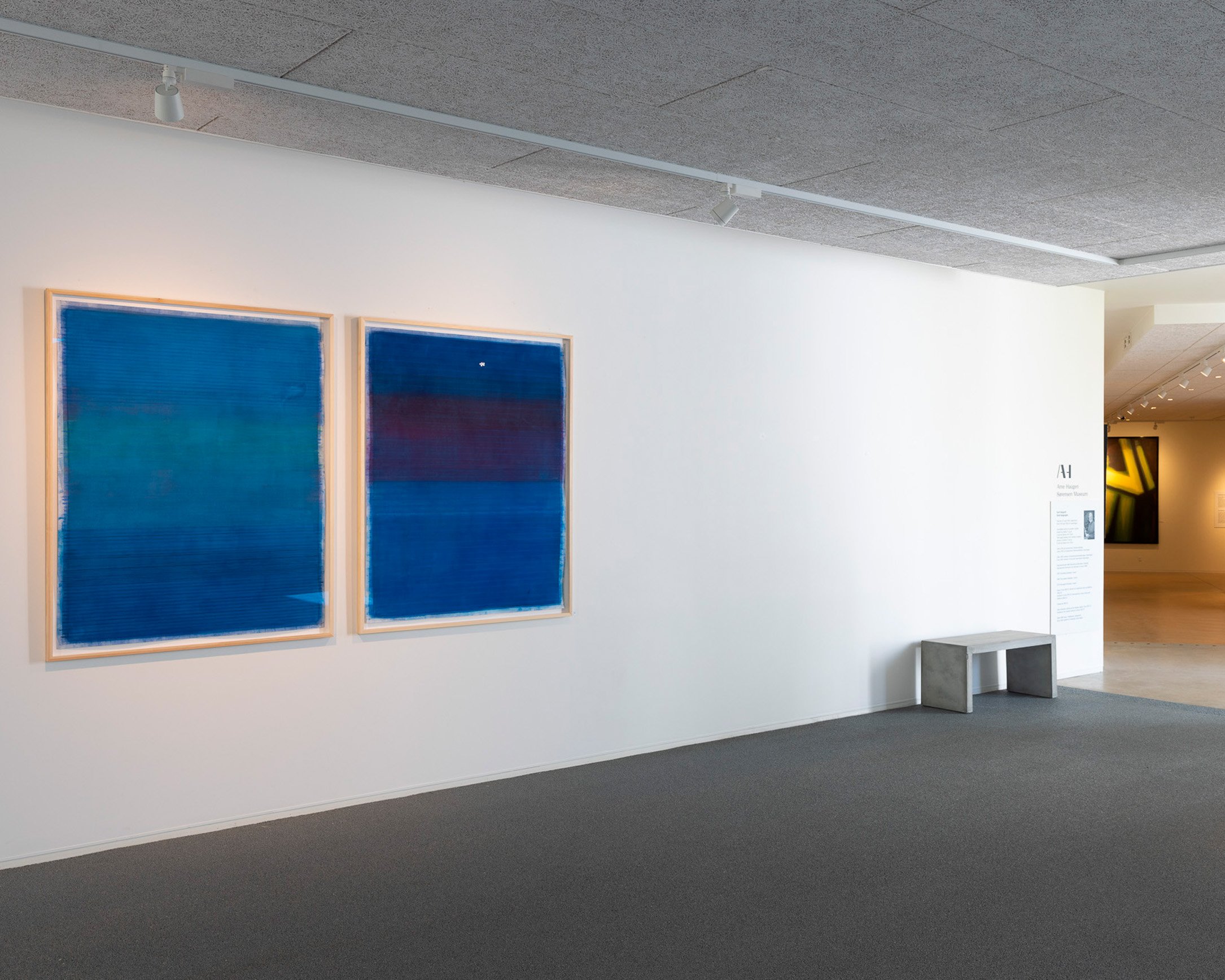 Ann Linn Palm Hansen - Videbækfdffsdfefr.jpg