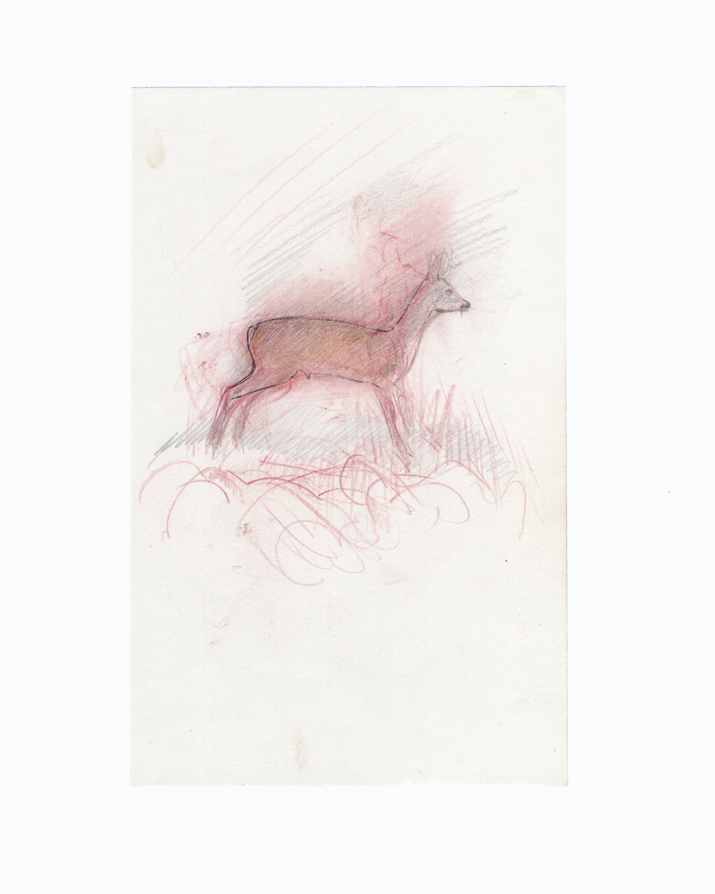 JO-RA27 Uden titel (En buk), u.d. Blyant, pen og farvekridt på papir ca. 20,7 x 13 cm kopier.jpg