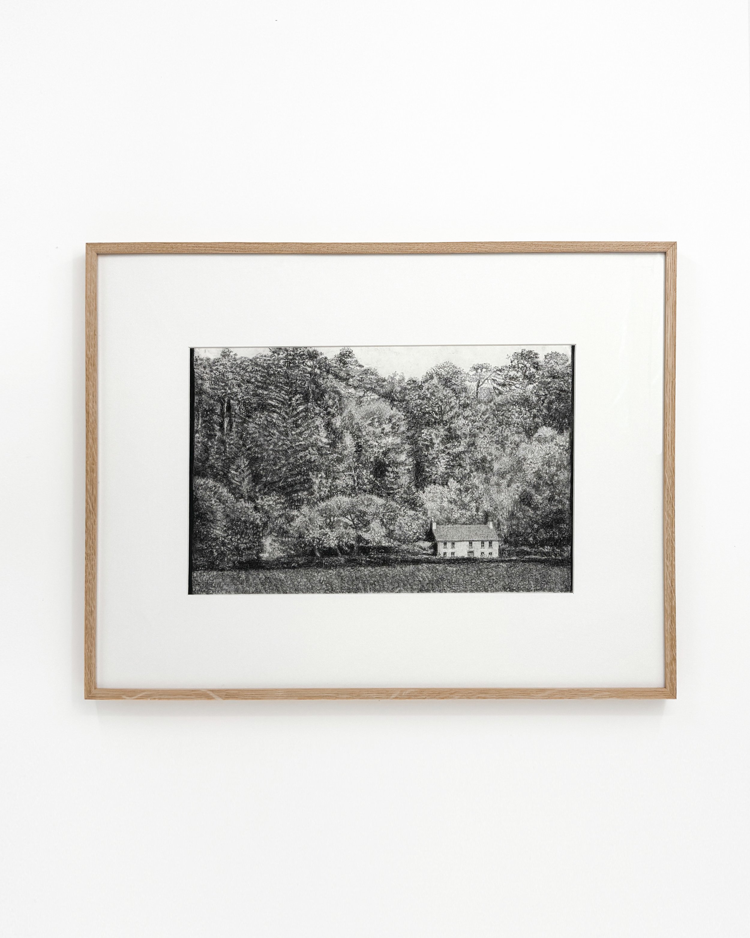 Marielle Göthberg: Skogsvy, 2025