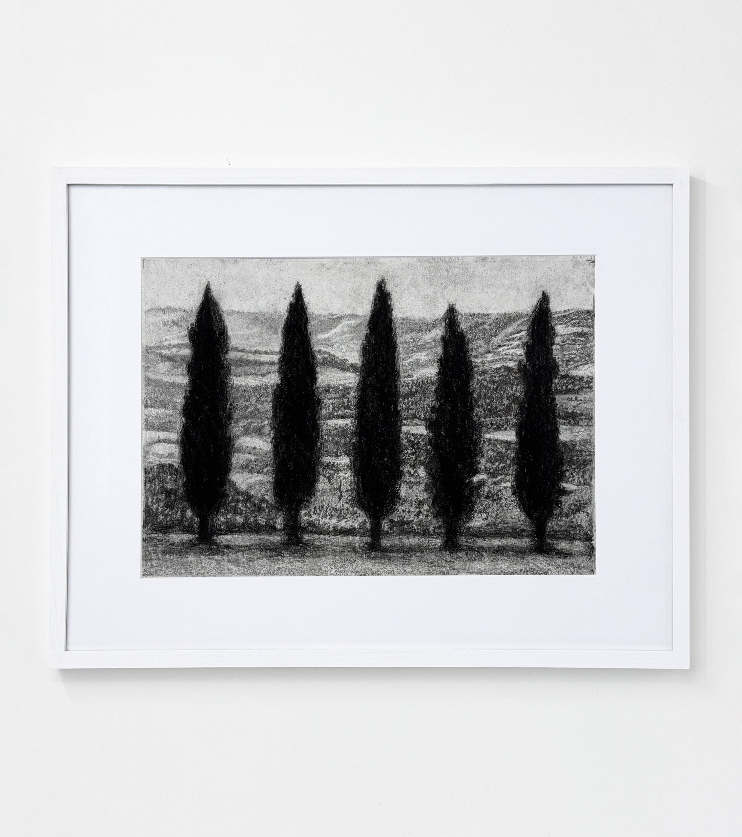 Marielle Göthberg Uden titel (Cypresser), 2025, bly på papir, 16 x 23 cm.jpg