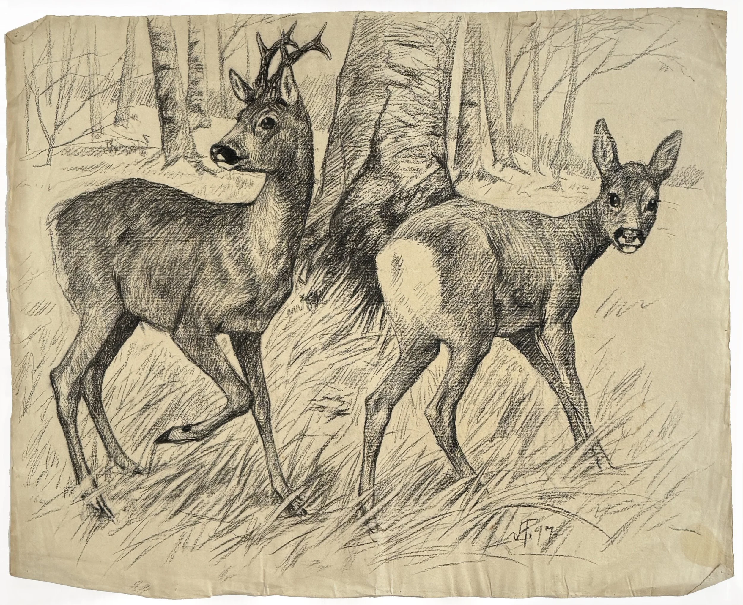 Vilh. Th. Fischer: Rådyr, 1897 — Skitsehandlen