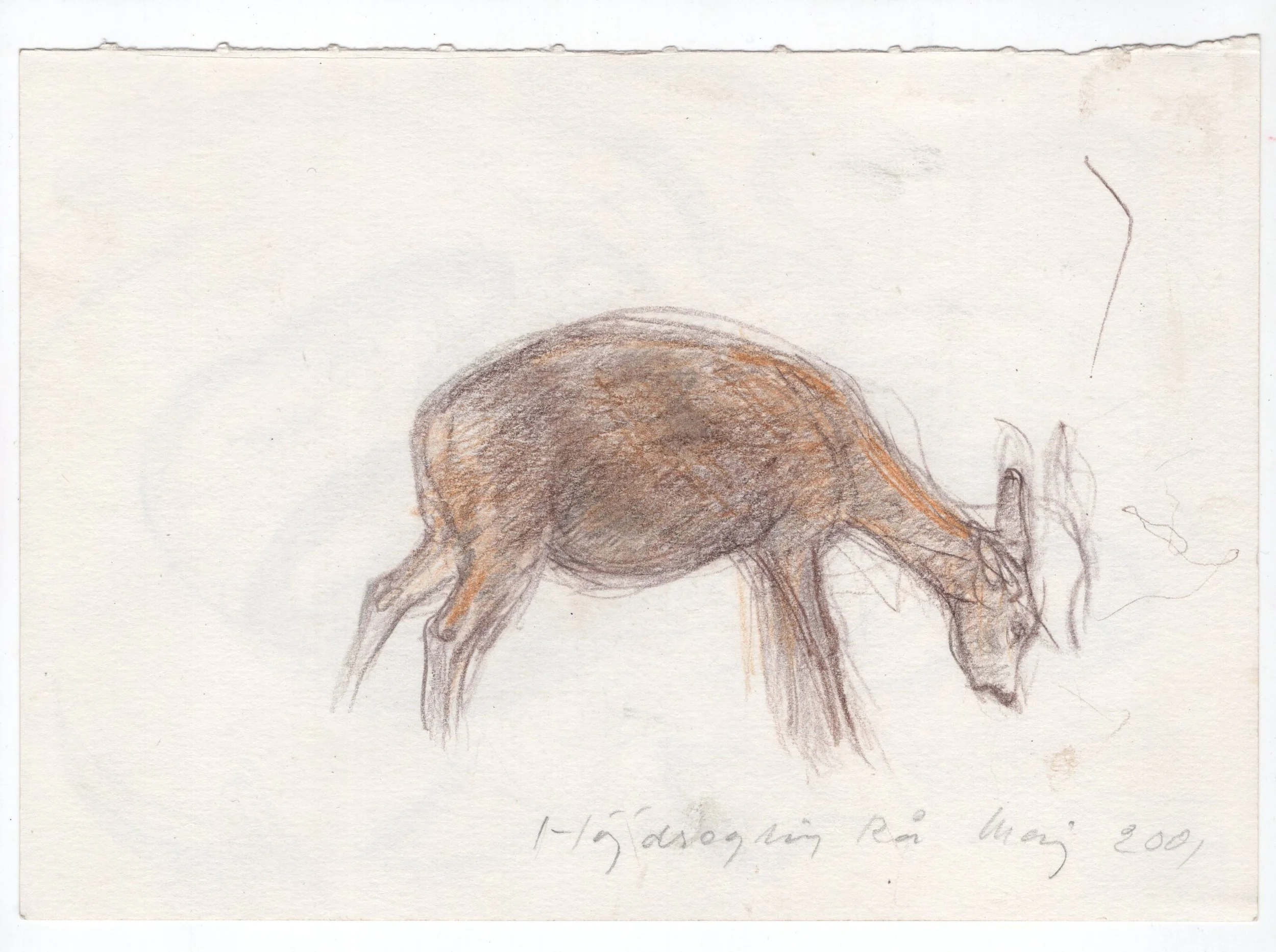 JO-RA05 Rå, 2001. Farvekridt på papir ca. 14,7 x 21 cm kopier.jpg
