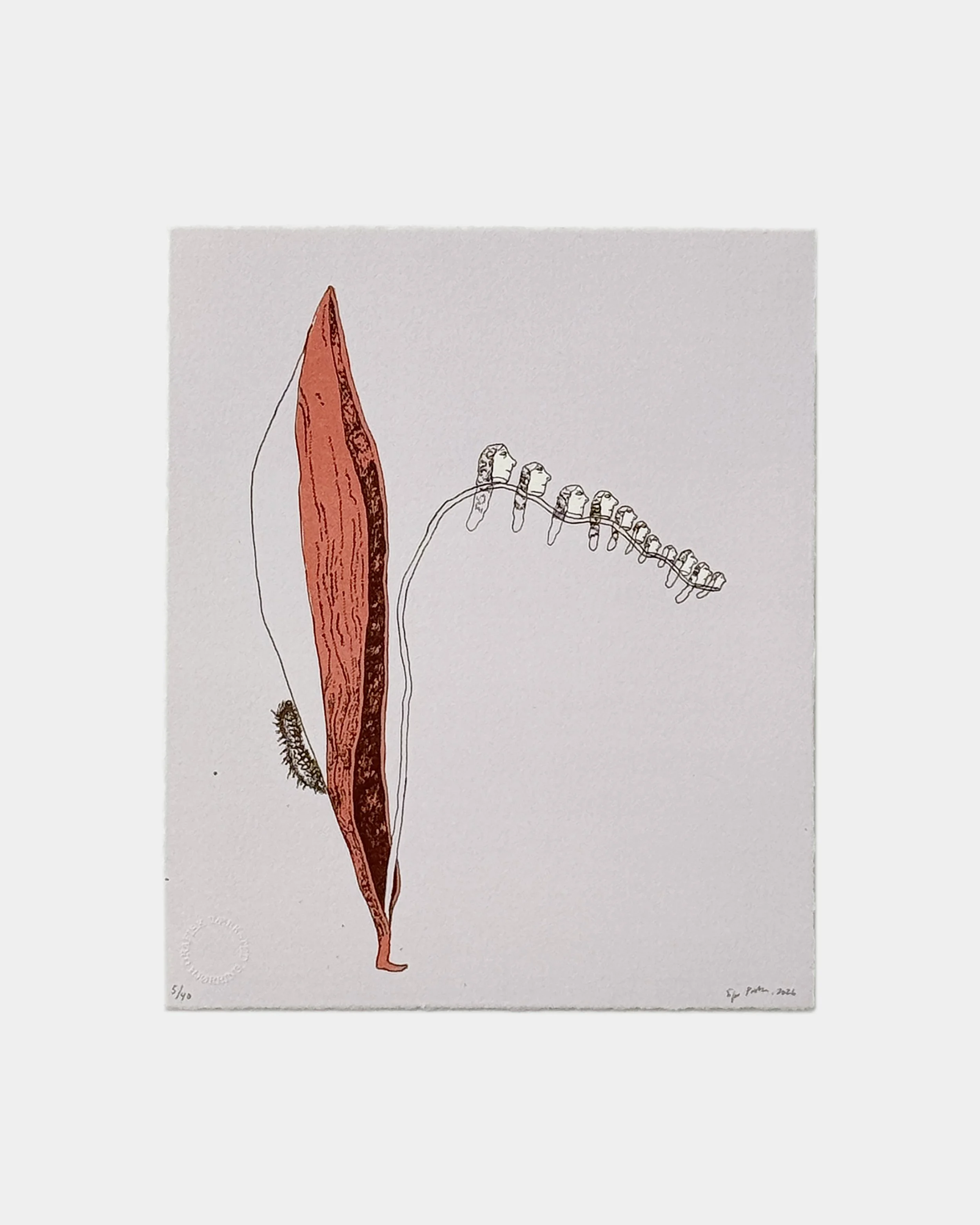 SP-lito01-værk-20x24cm-2026.jpg
