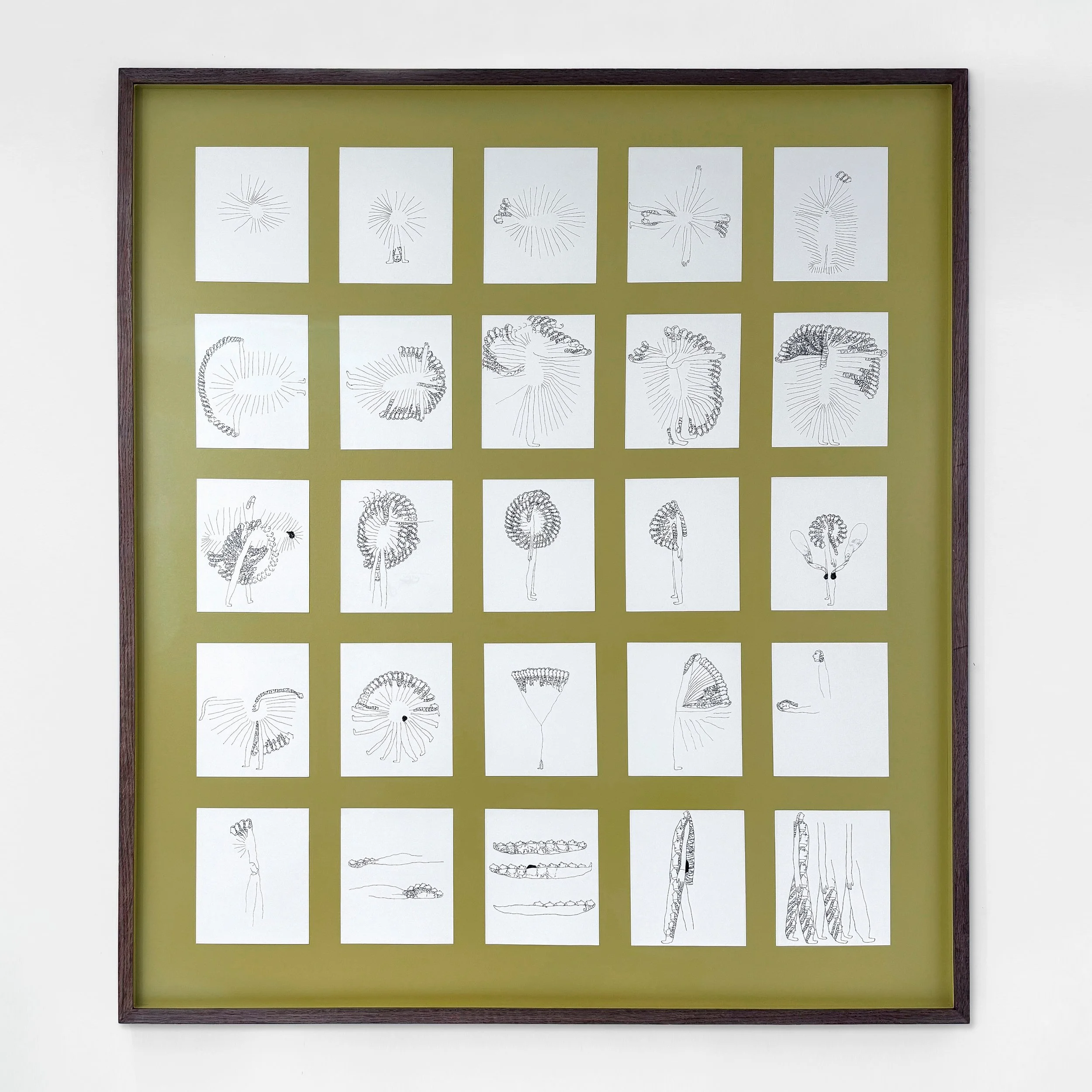 Signe Parkins: Om Arternes Oprindelse ..., 2025