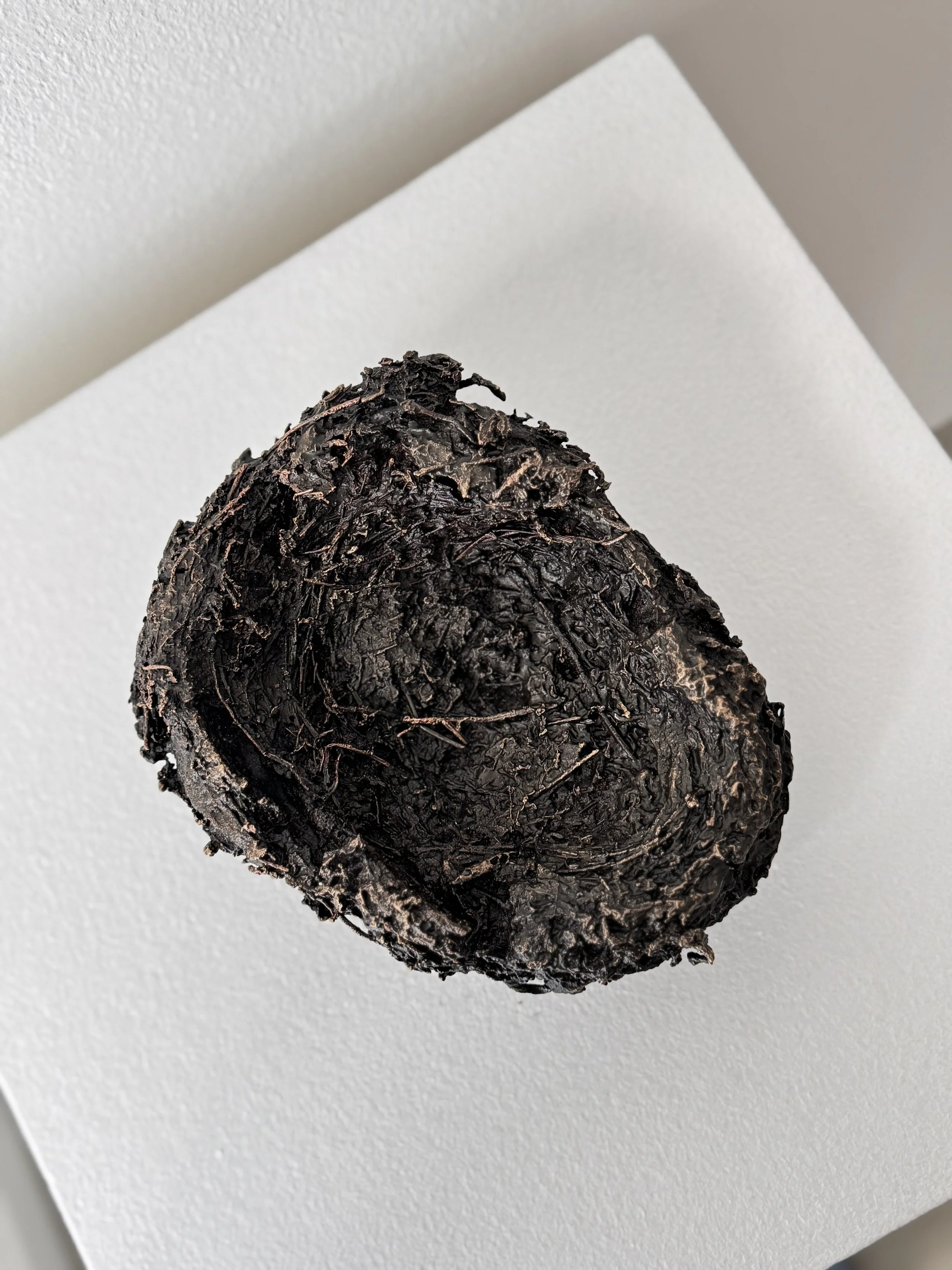 Tina Maria Nielsen, Birds leave their nest (6) - nice.jpg