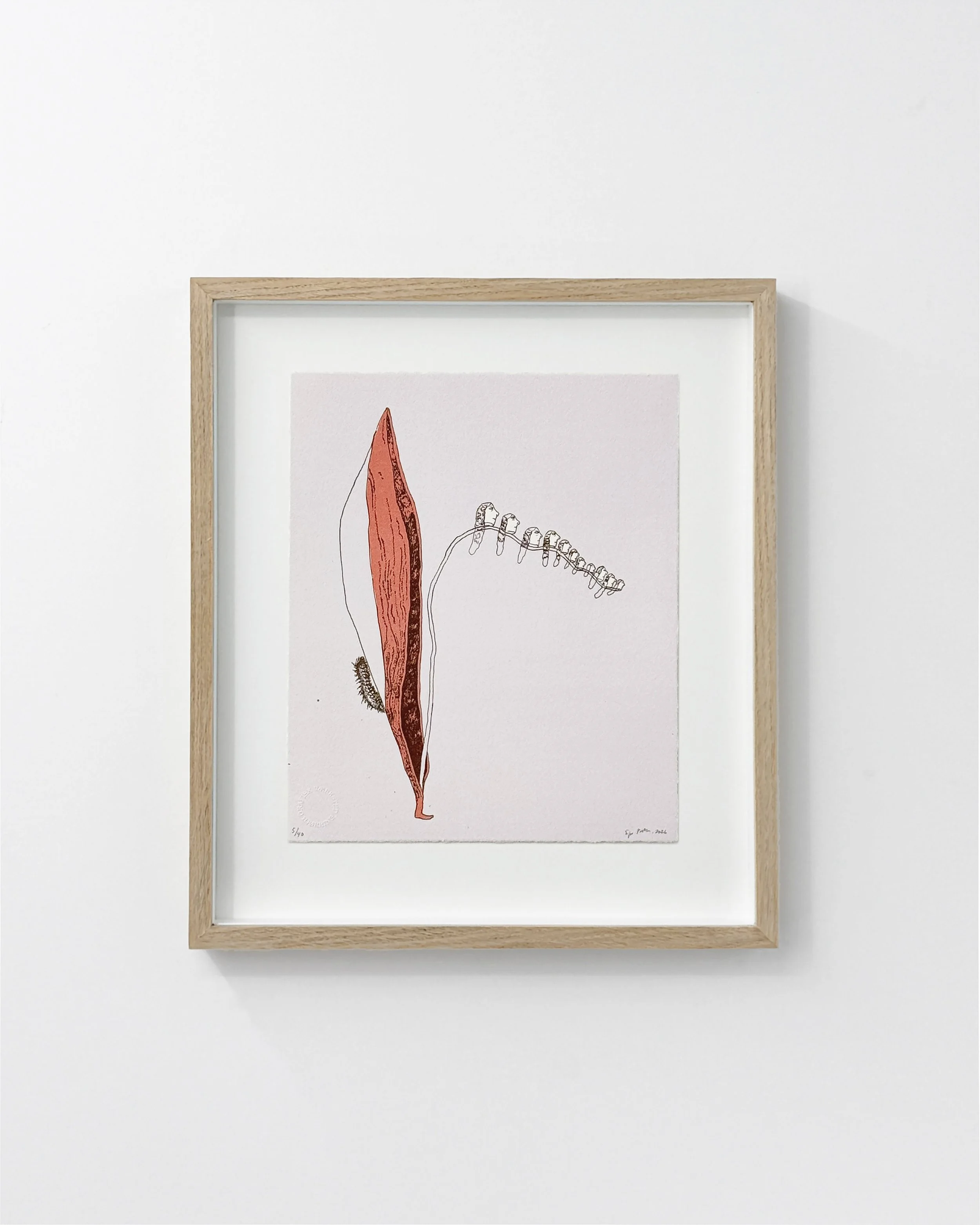 SP-lito01-20x24cm-2026 kopier.jpg