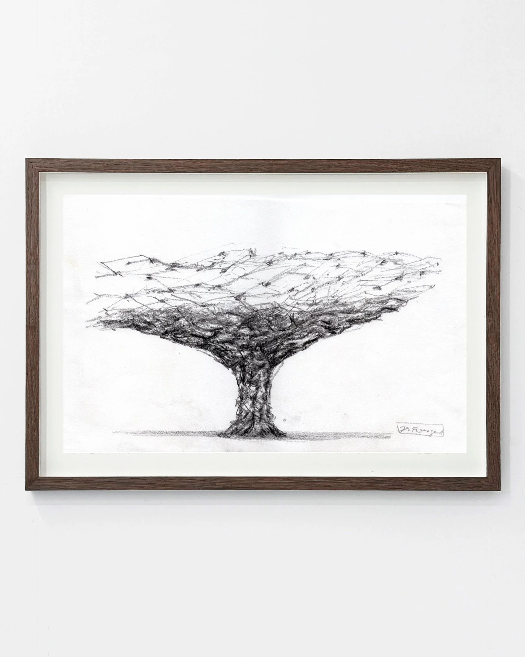 Jes Fomsgaard: Trætop