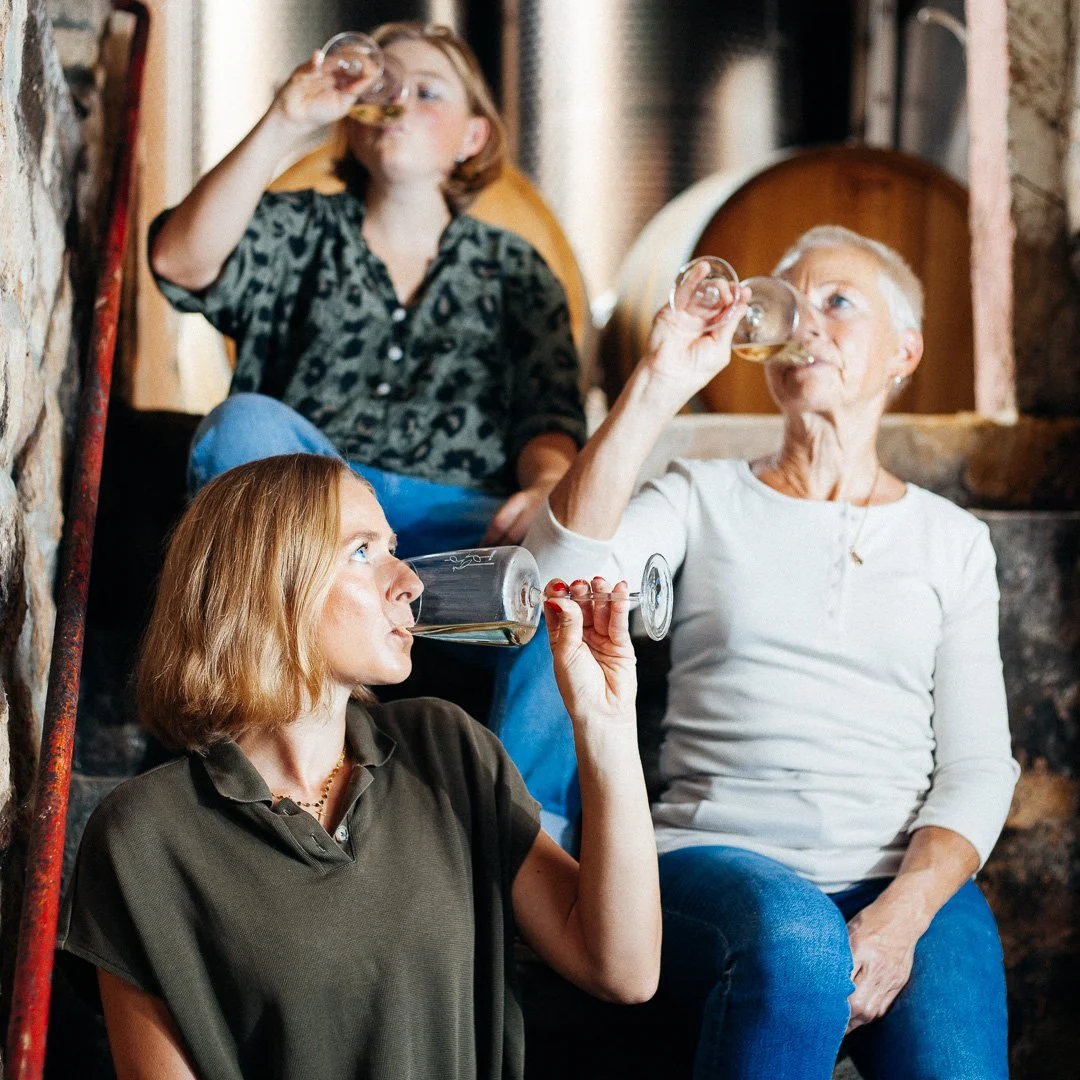 Shooting beim Weingut Wörner