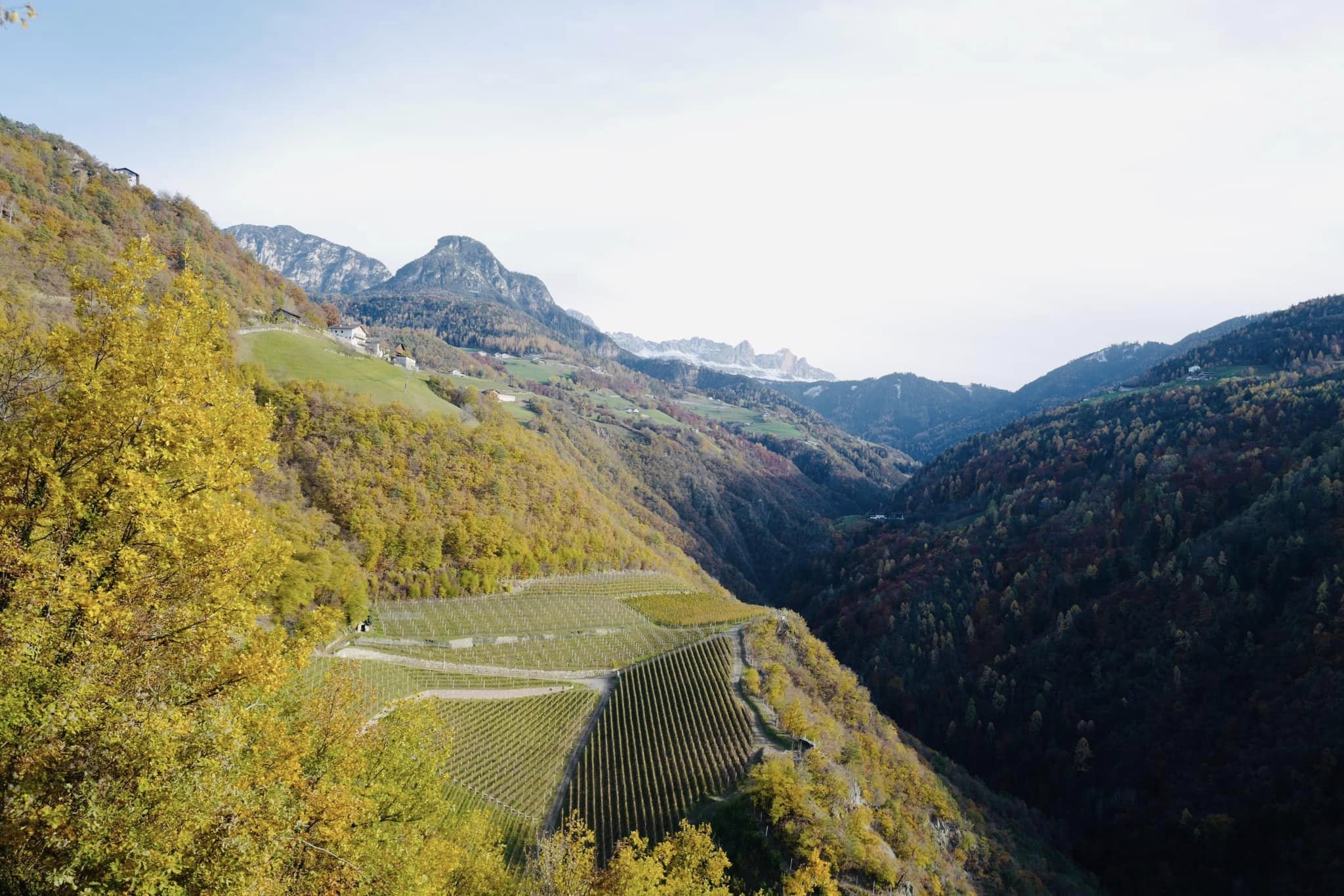 Weingut Prackfol, Südtirol