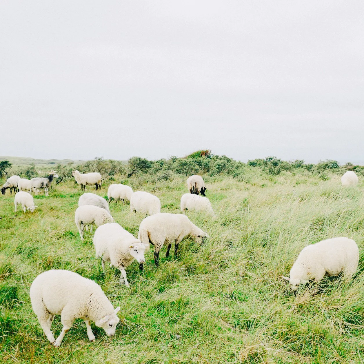 Resilienz ist keine Superkraft