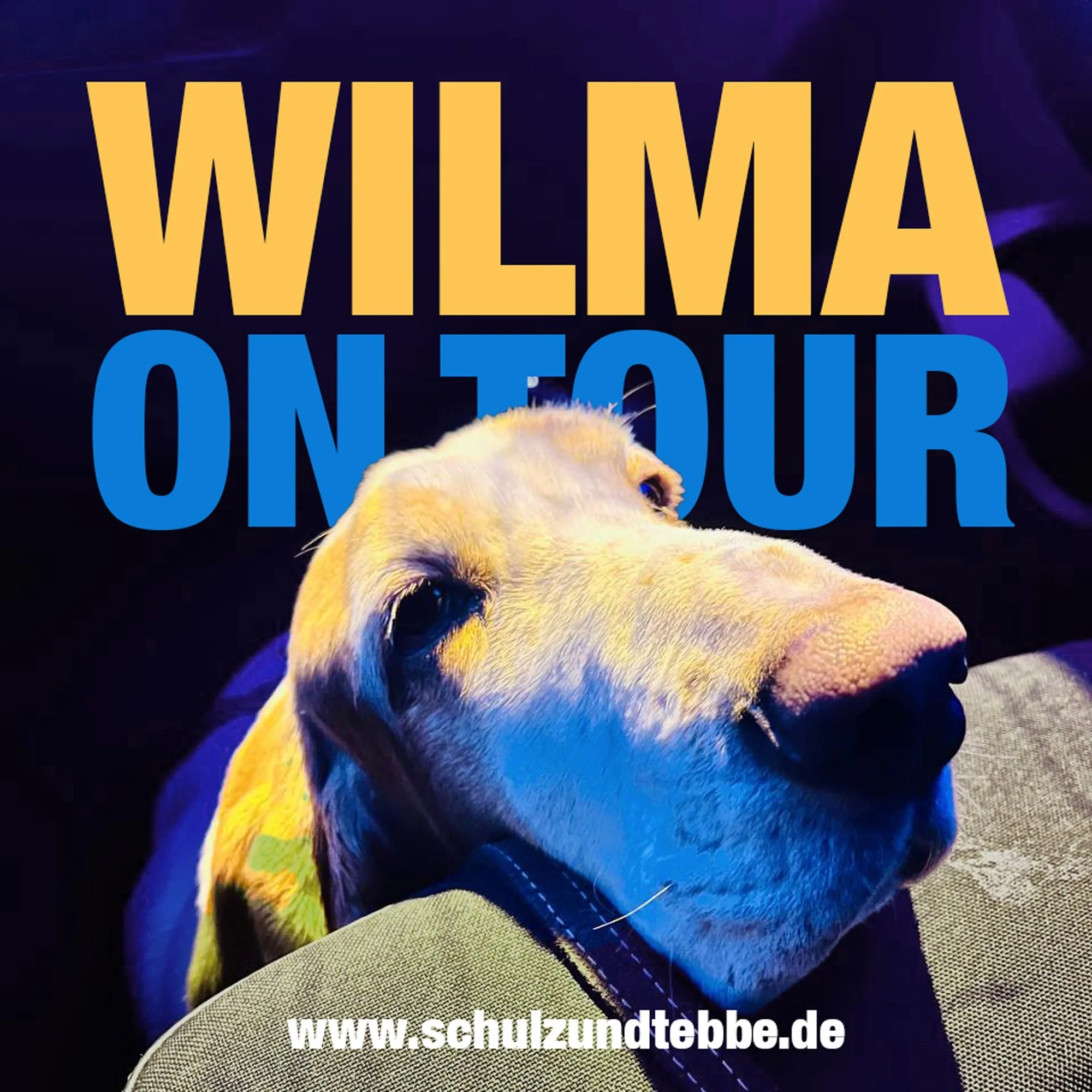 Wilma müde. Wilma schlafen.