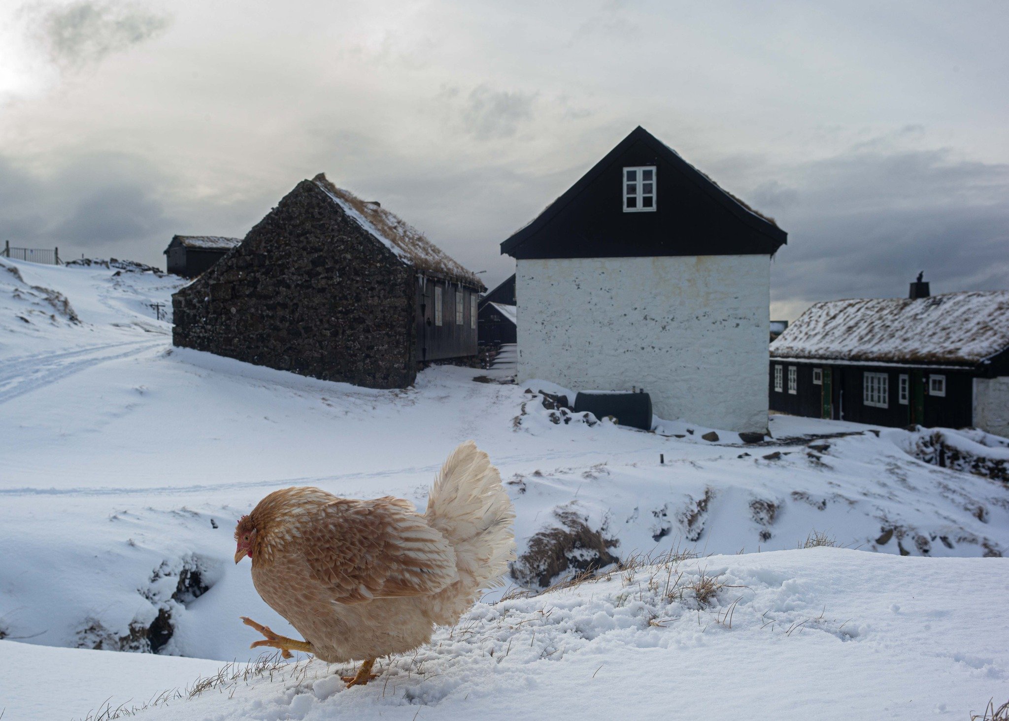 PICTURES of an EXHIBITION: 