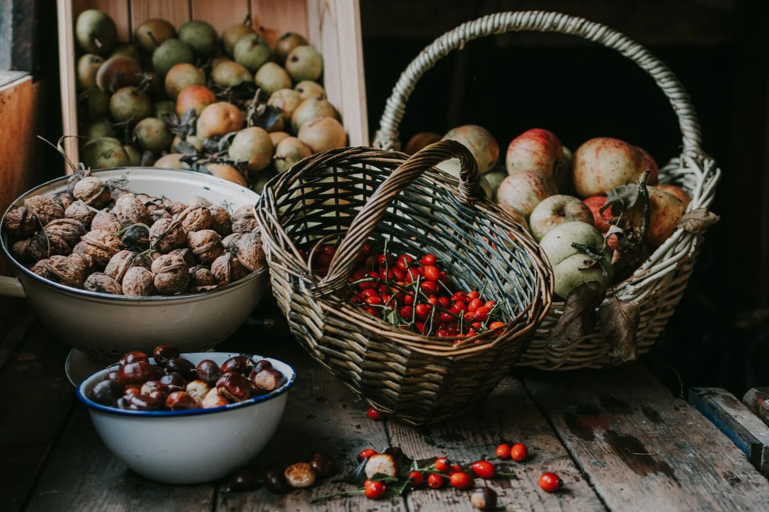 Autumn foraging haul, apples, pears, walnuts, rosehips - Josephine Brooks.jpg