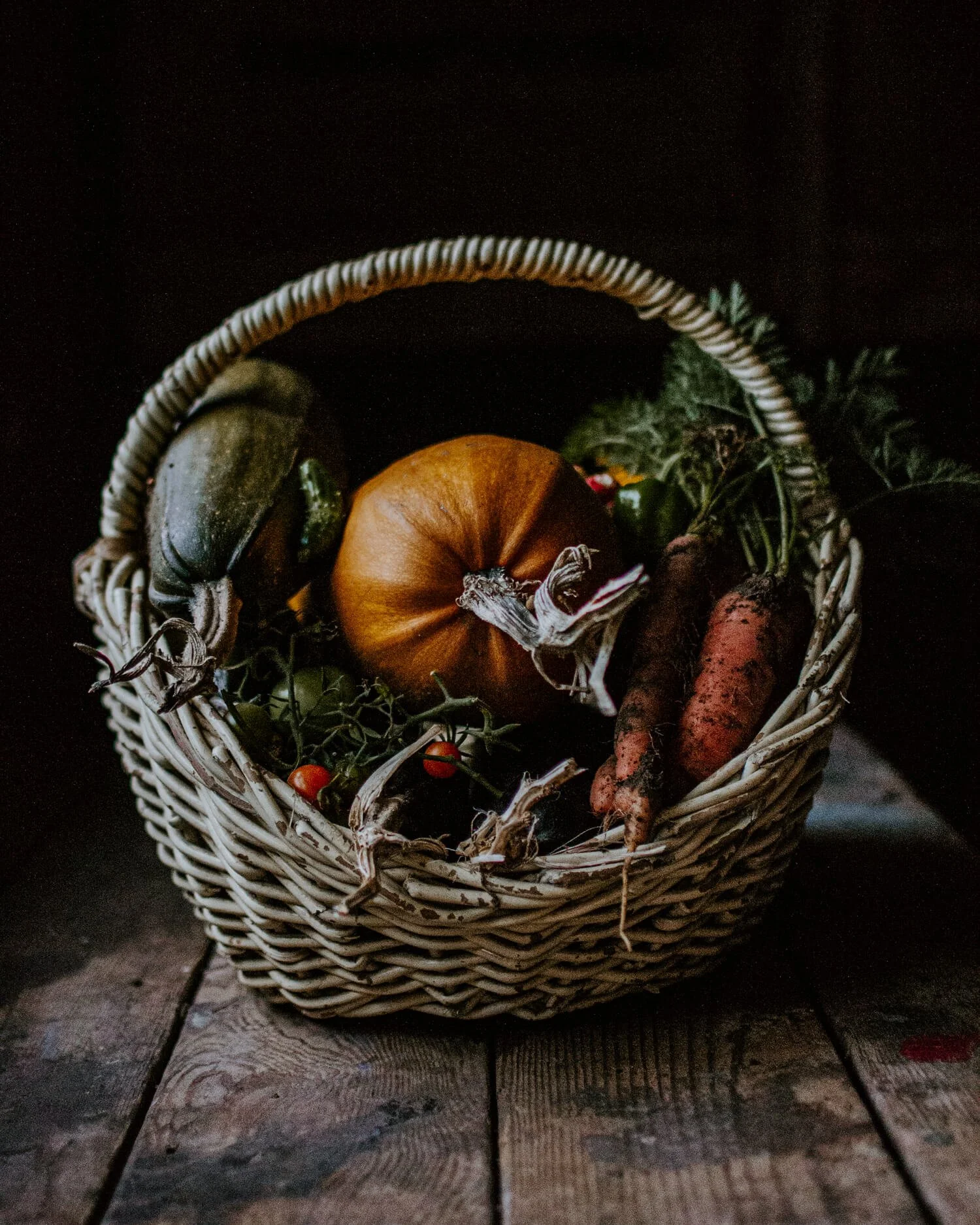 Pumpkin harvest - Josephine Brooks