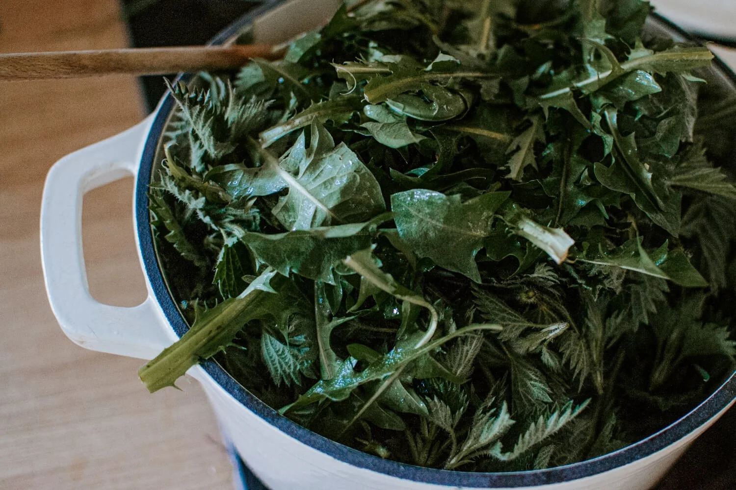 Nettle & Dandelion Soup Recipe - foraged nettles and dandelions in a colander - Josephine Brooks