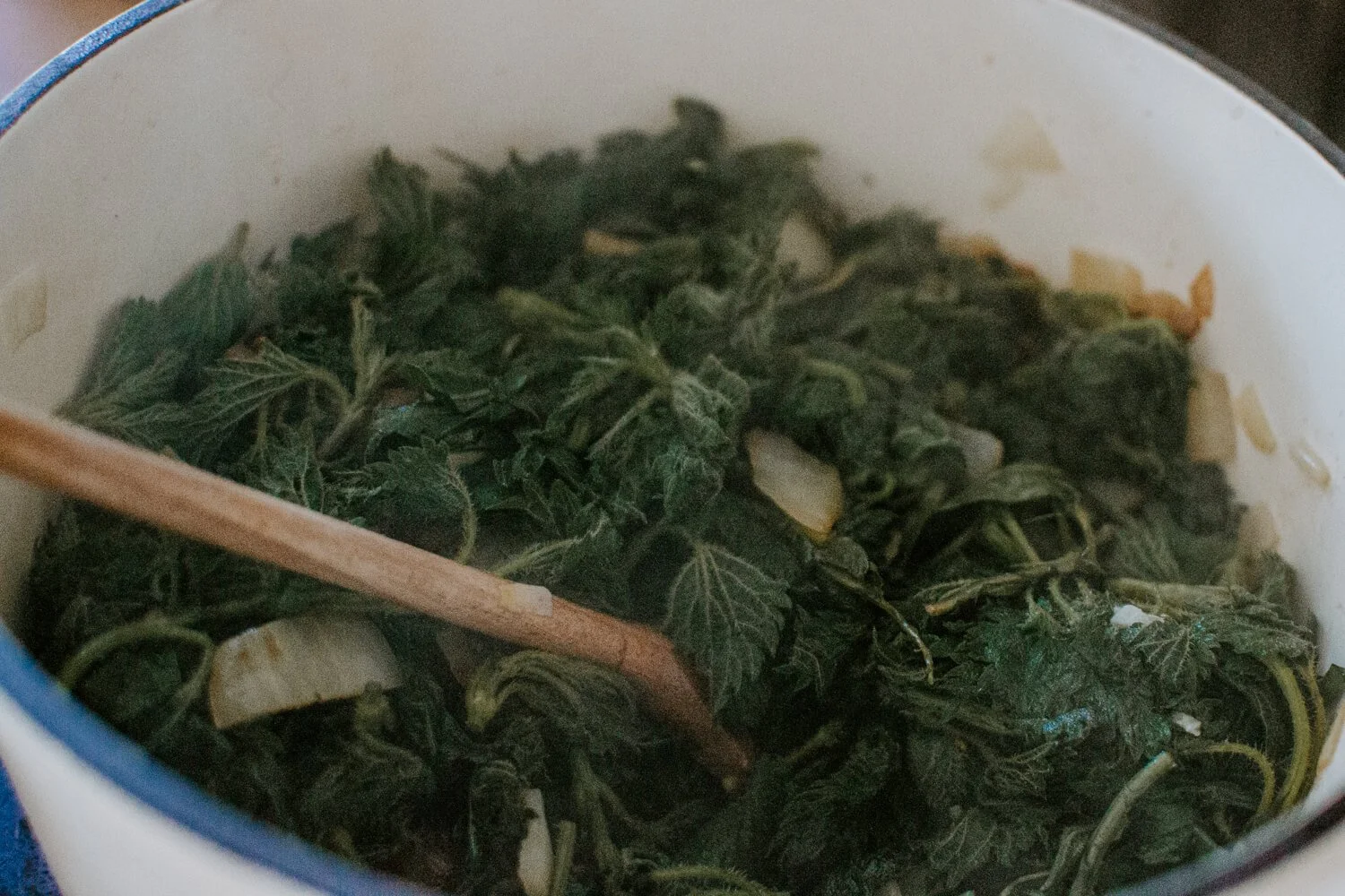 Cooking nettles & dandelions for Soup - Recipe from Josephine Brooks