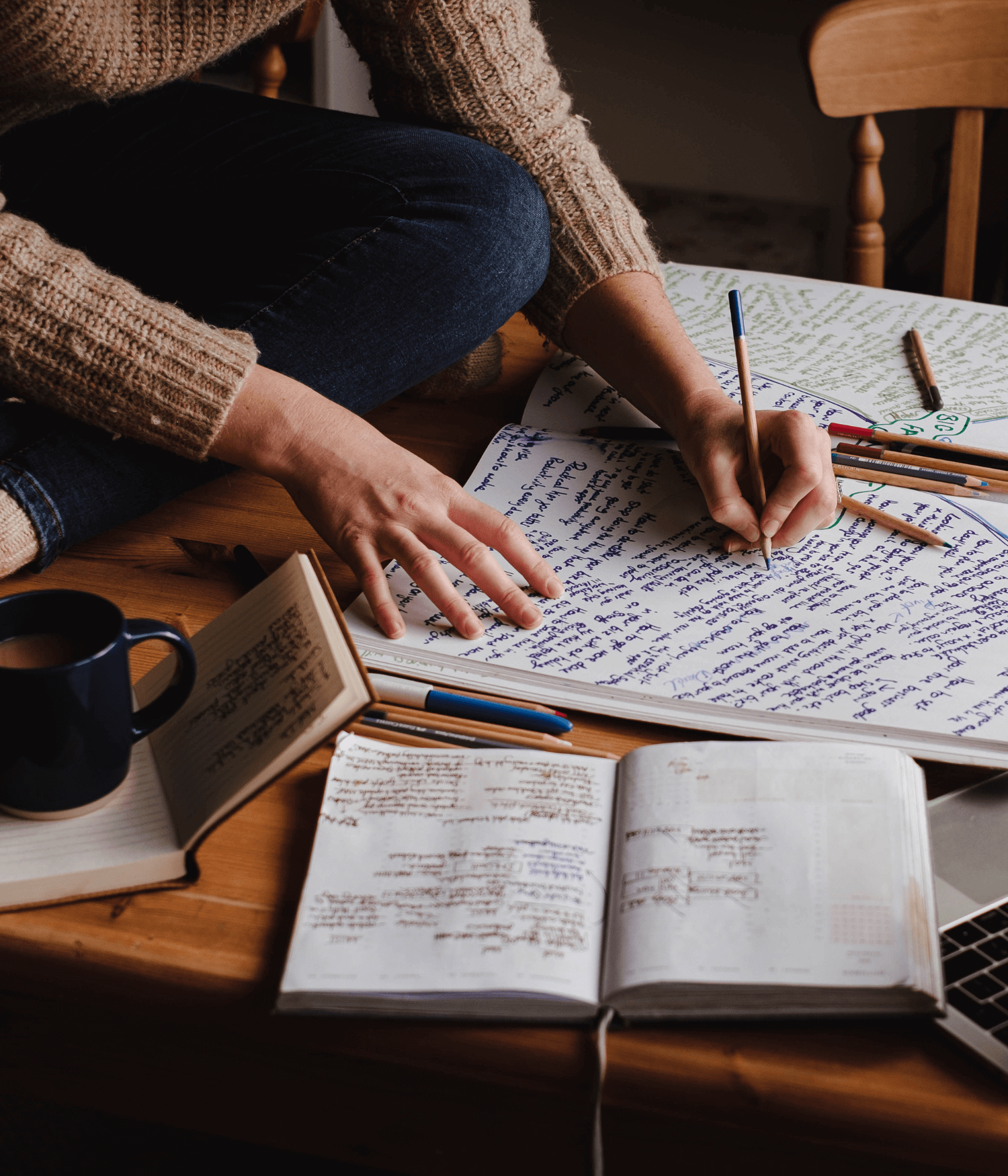 Josephine Brooks making plans in spider diagrams.png