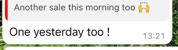 Client Sales Funnel Results Text - Josephine Brooks