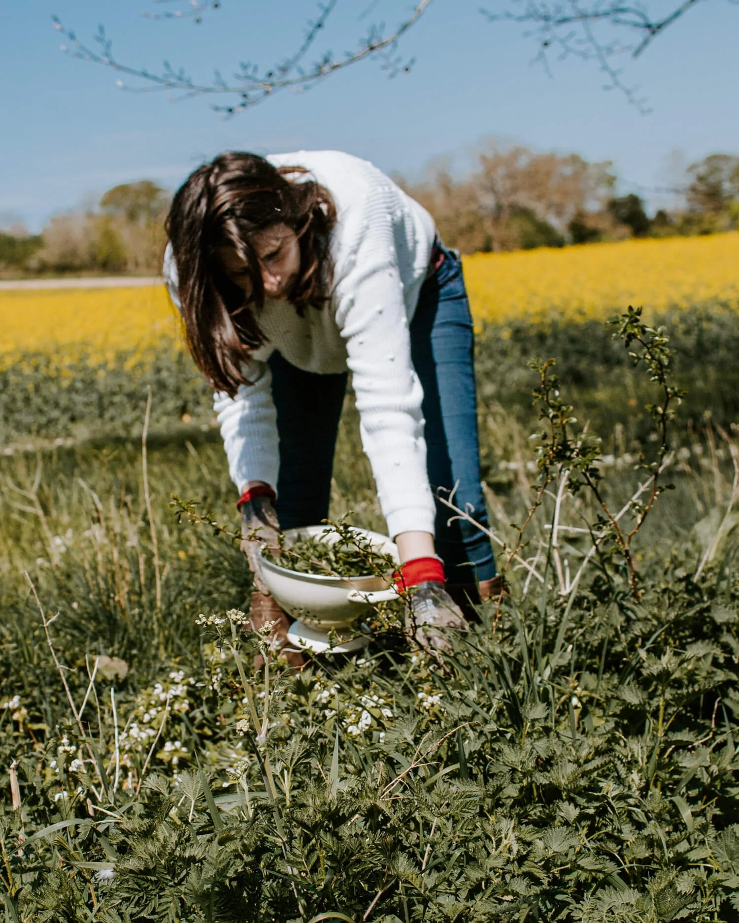 Picking Nettles and Dandelions for Soup | Josephine Brooks