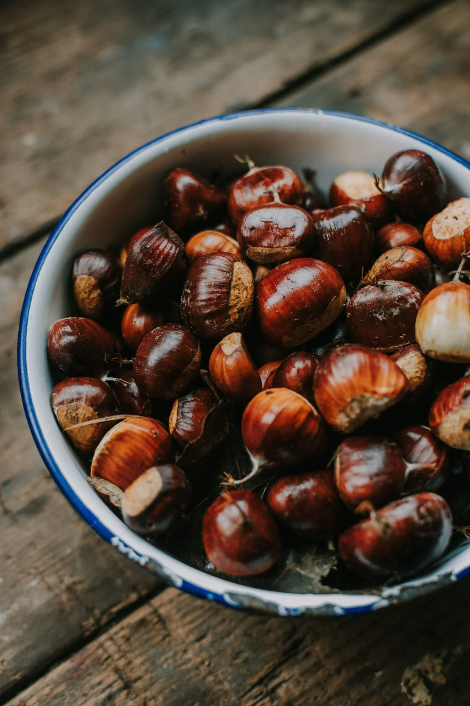 Foraged chestnuts - Josephine Brooks.jpg