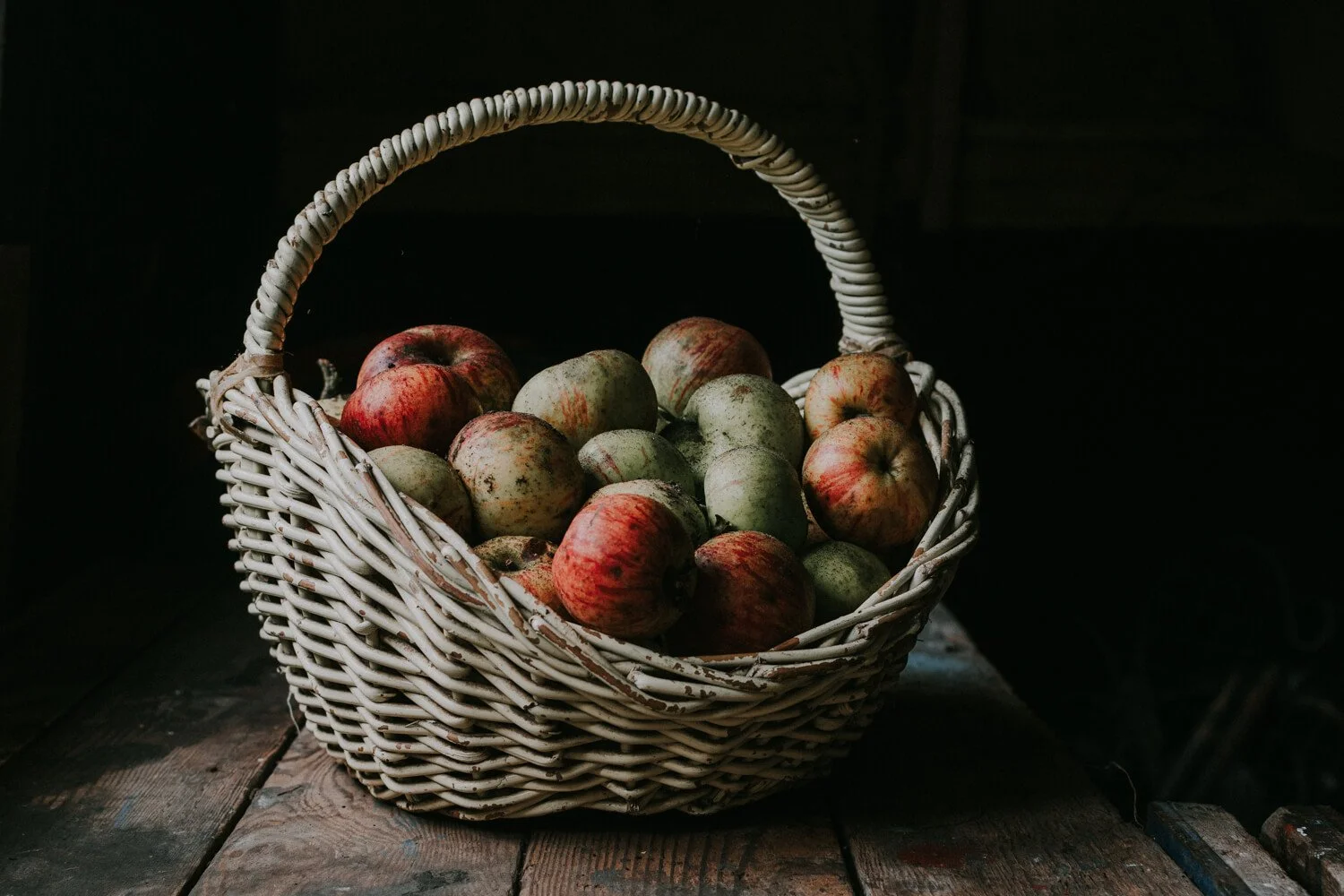 Forages apples - apple scrumping in autumn : fall - Josephine Brooks