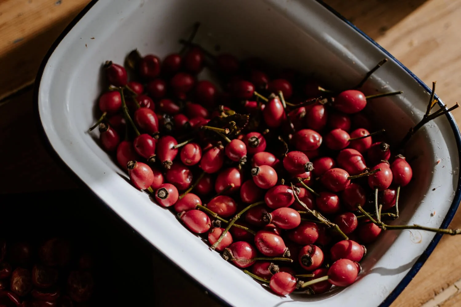 Foraged rosehips - Josephine Brooks