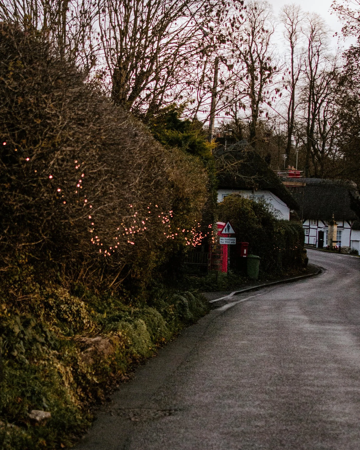 Sparkling Christmas lights down the village road - Josephine Brooks.jpg