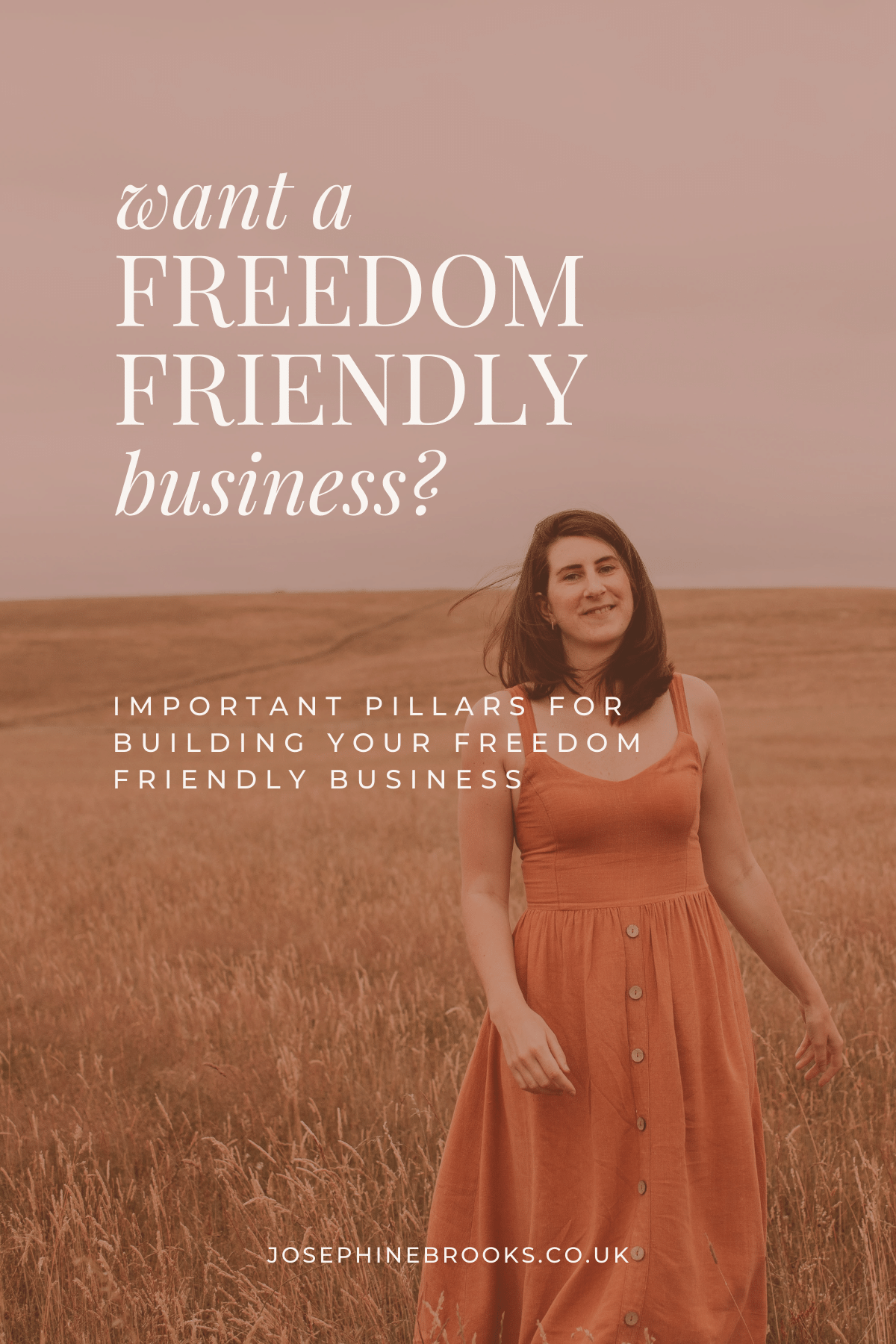 Want a freedom friendly business? Important pillars for making your business freedom friendly - customer journey, products & services, marketing, sales funnels - Important pillars for a freedom-friendly business - Josephine Brooks