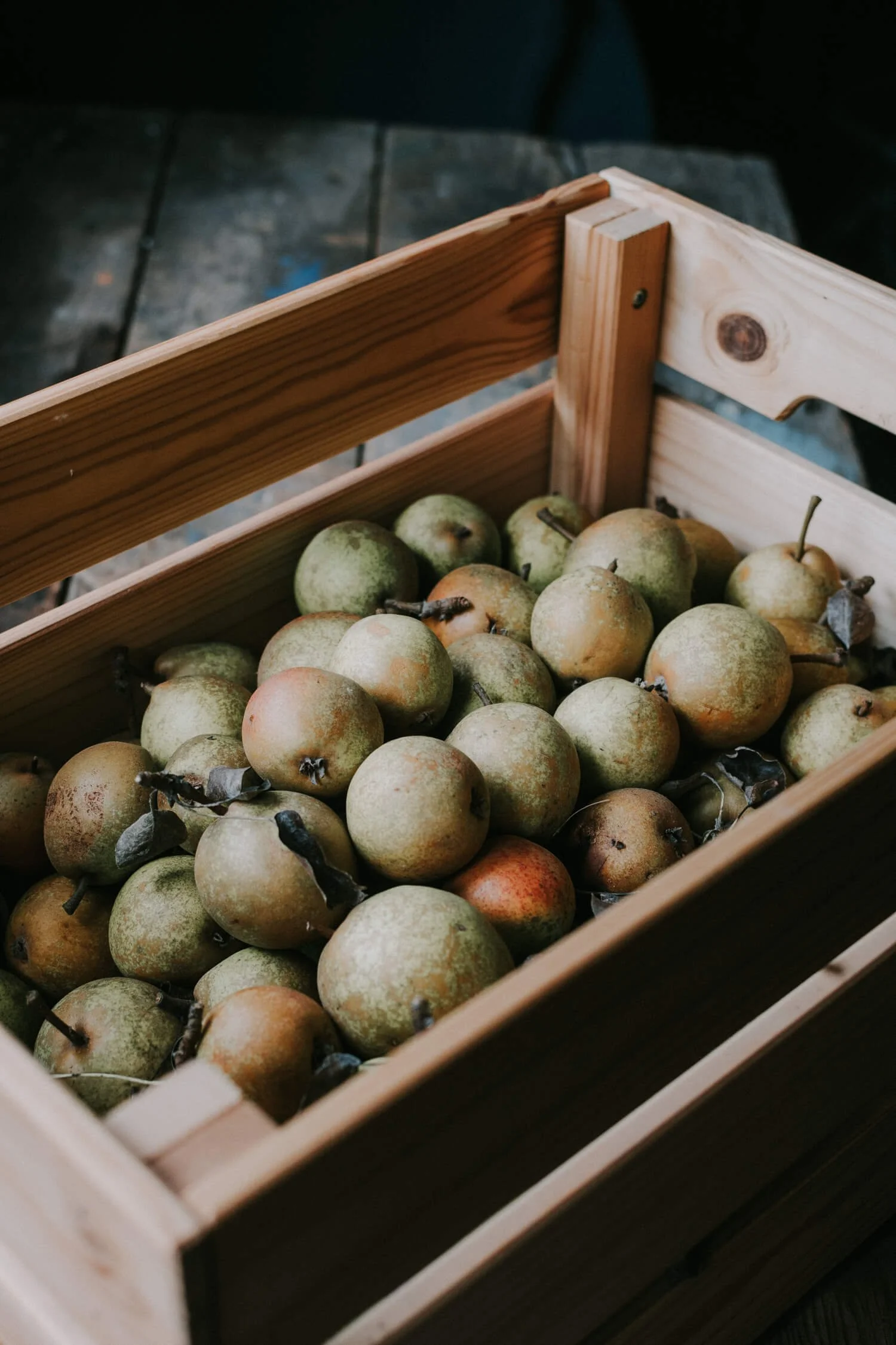 Crate of foraged pears - Josephine Brooks