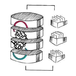 Data Bundles — ARC-COGITATE