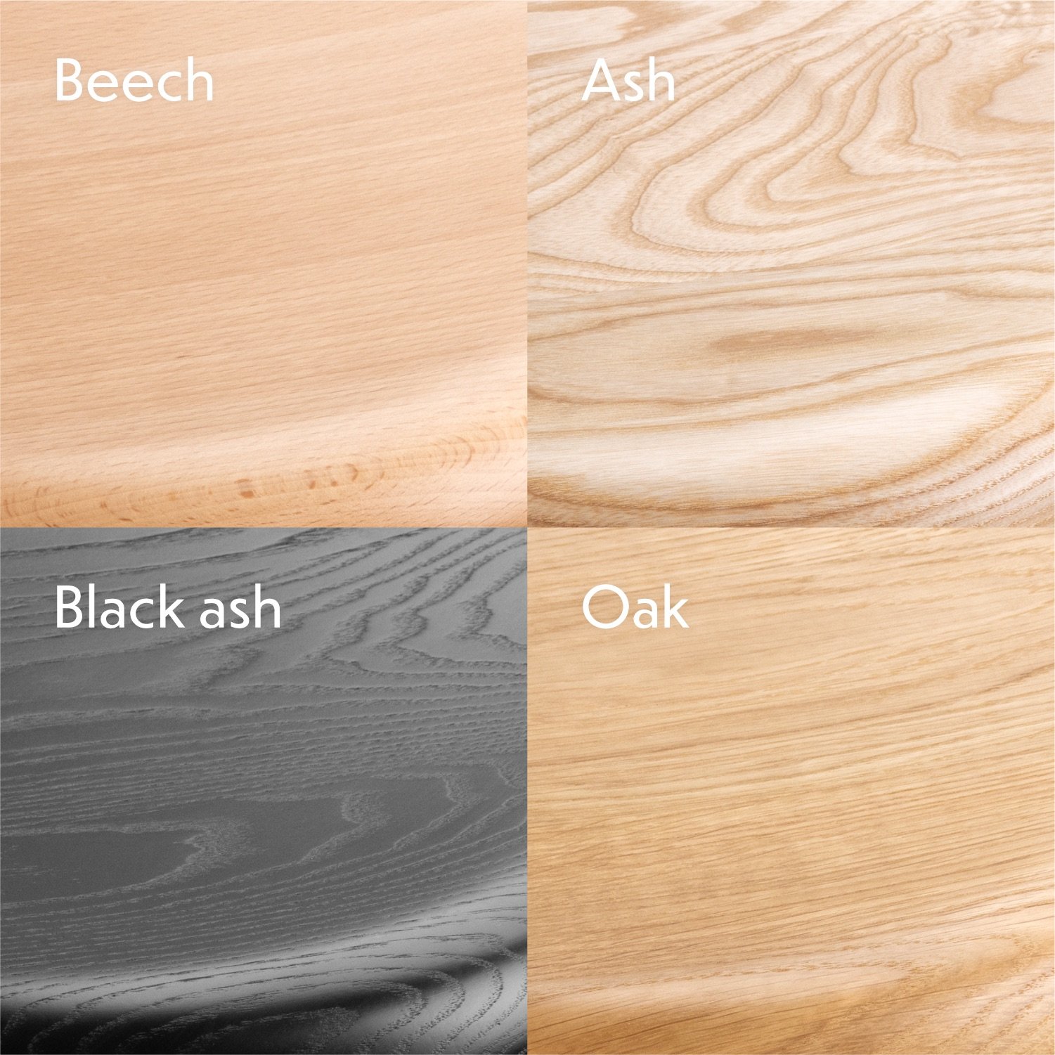 Rowac-Schemel wood types - beech as used at the bauhaus, ash, black ash, and oak.