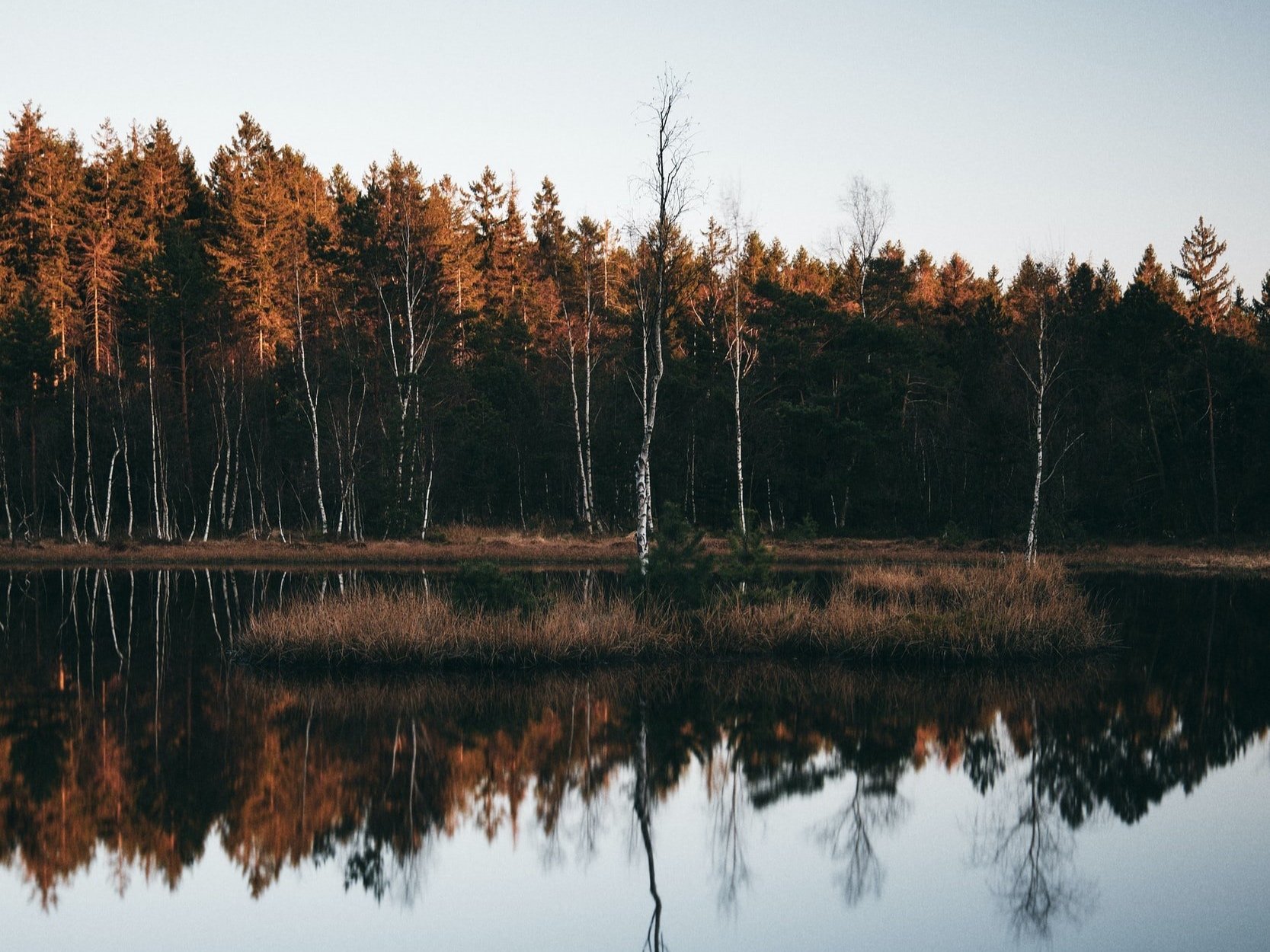 A forested lake in the ore mountains in Saxony.