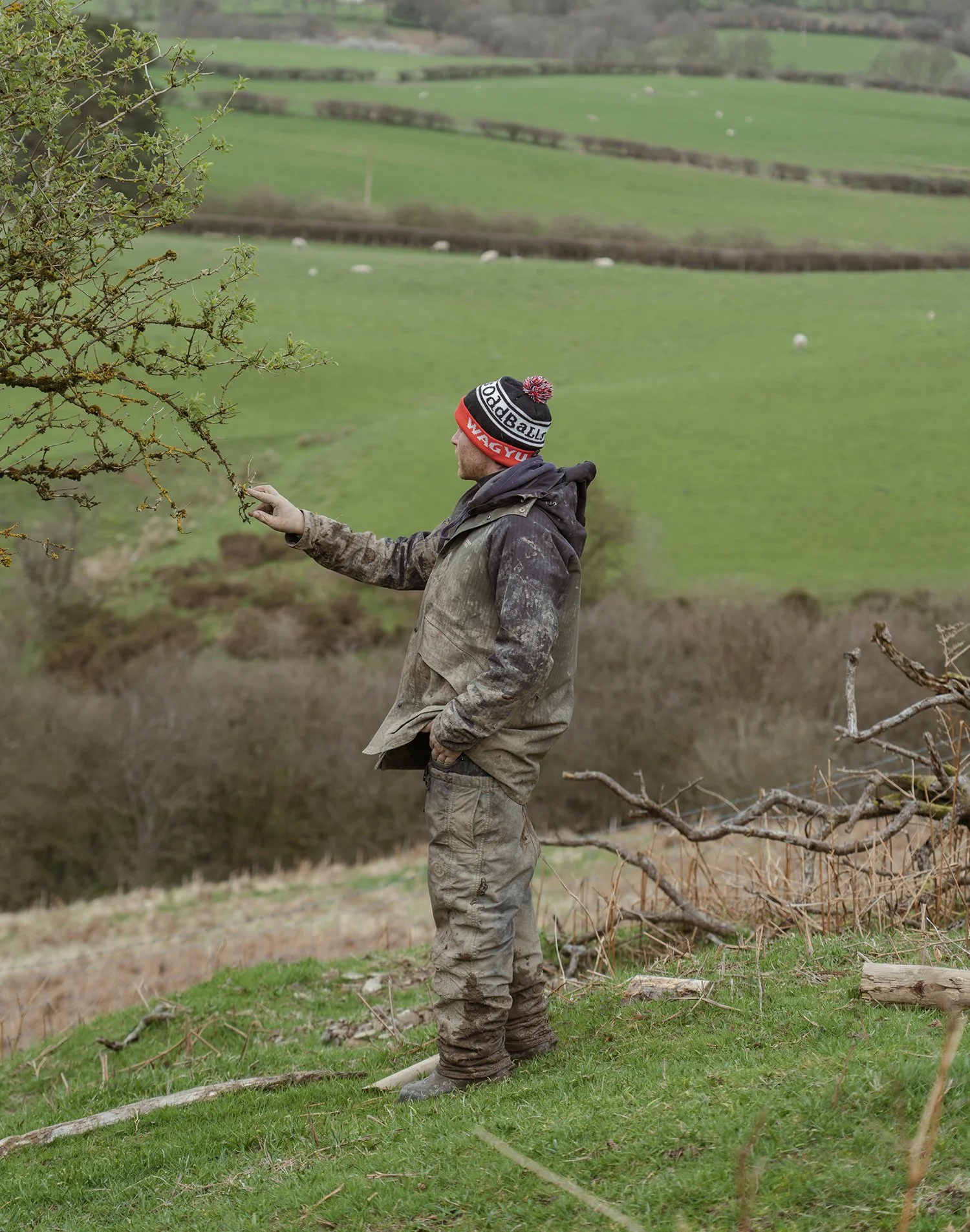 Jonathan Lewis Fence_13.jpg