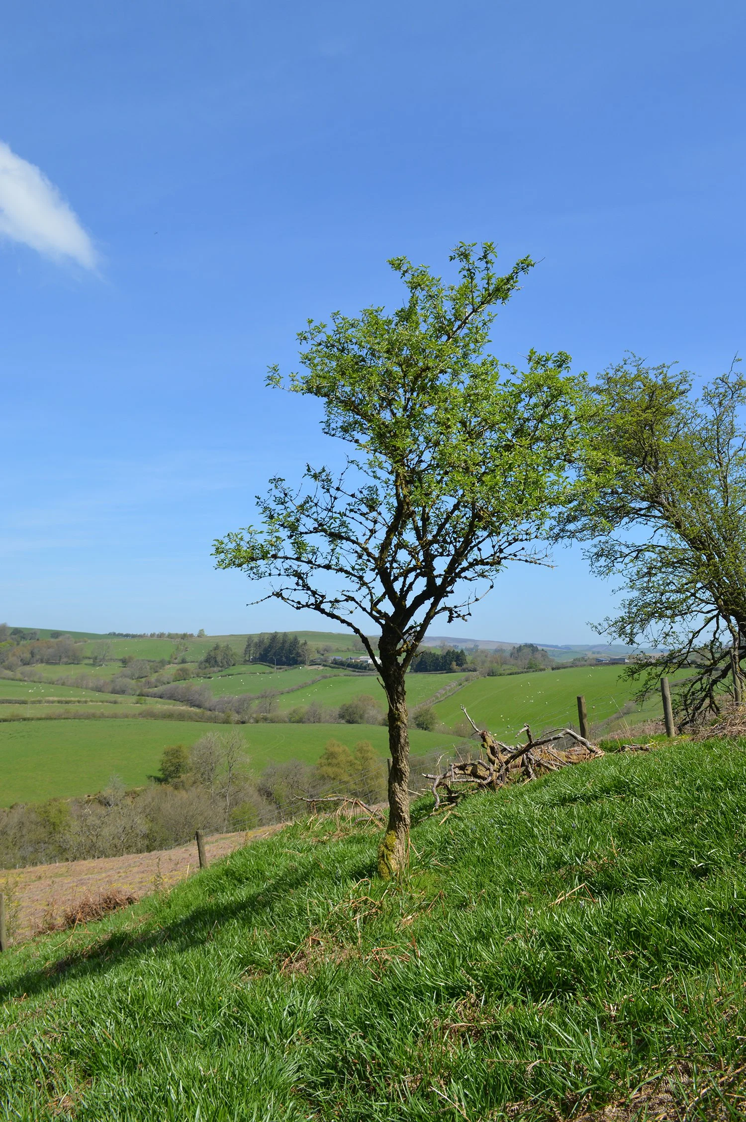 DSC_0072.JPG