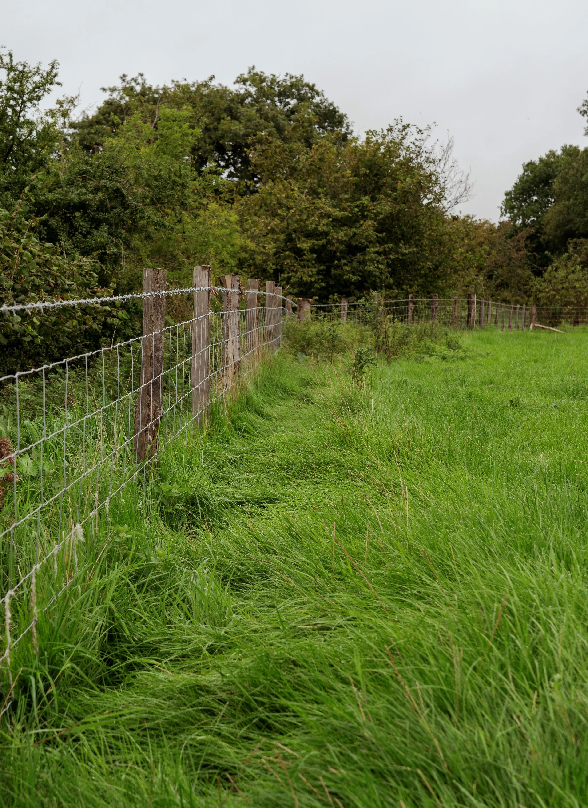 A new fence line helps to create a wildlife corridor.
