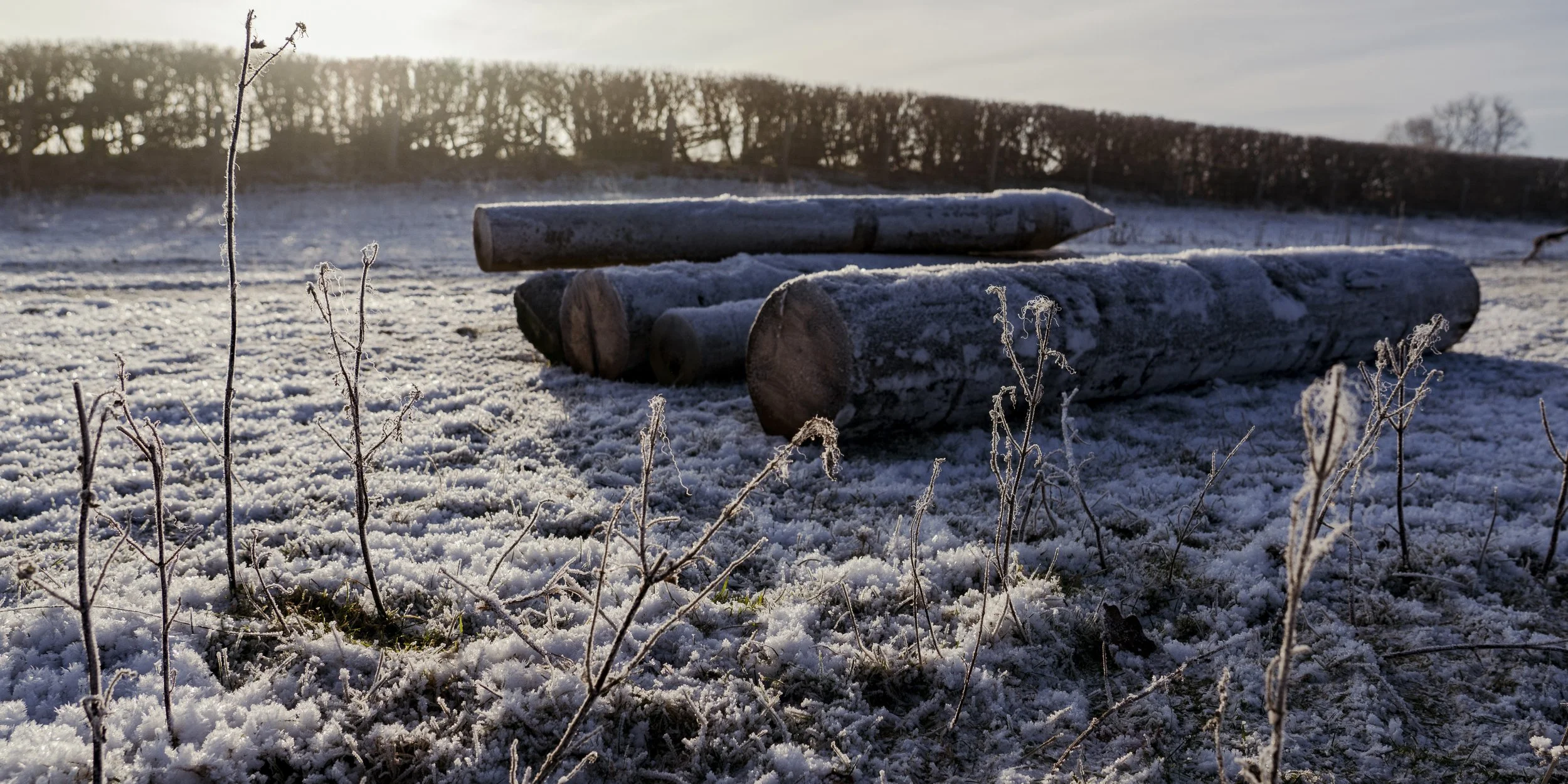 Gate posts lay on a frosty field.