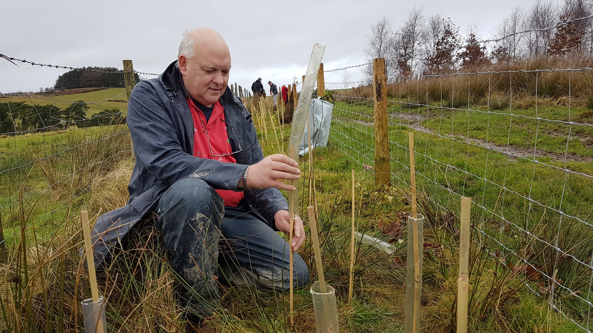 Upper Sign Hedge Planting 7.jpg