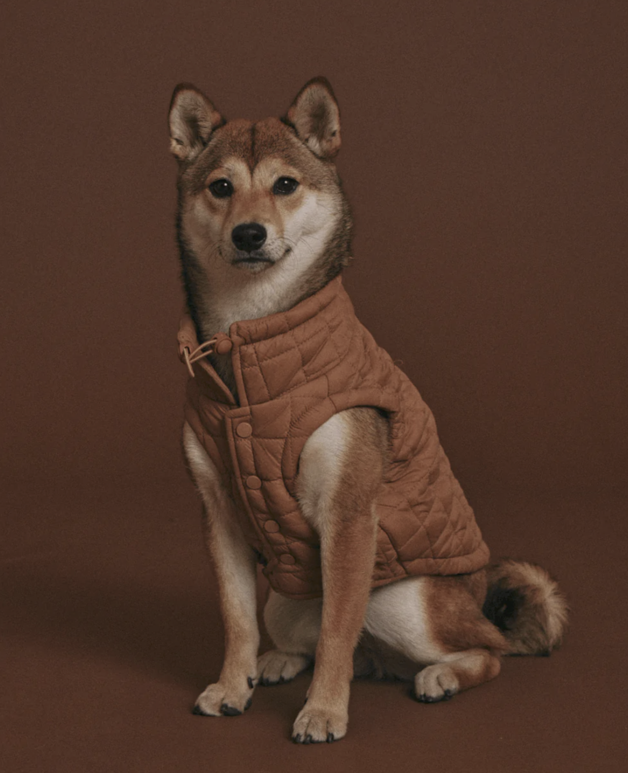 Max Bone Puffer Dog Vest