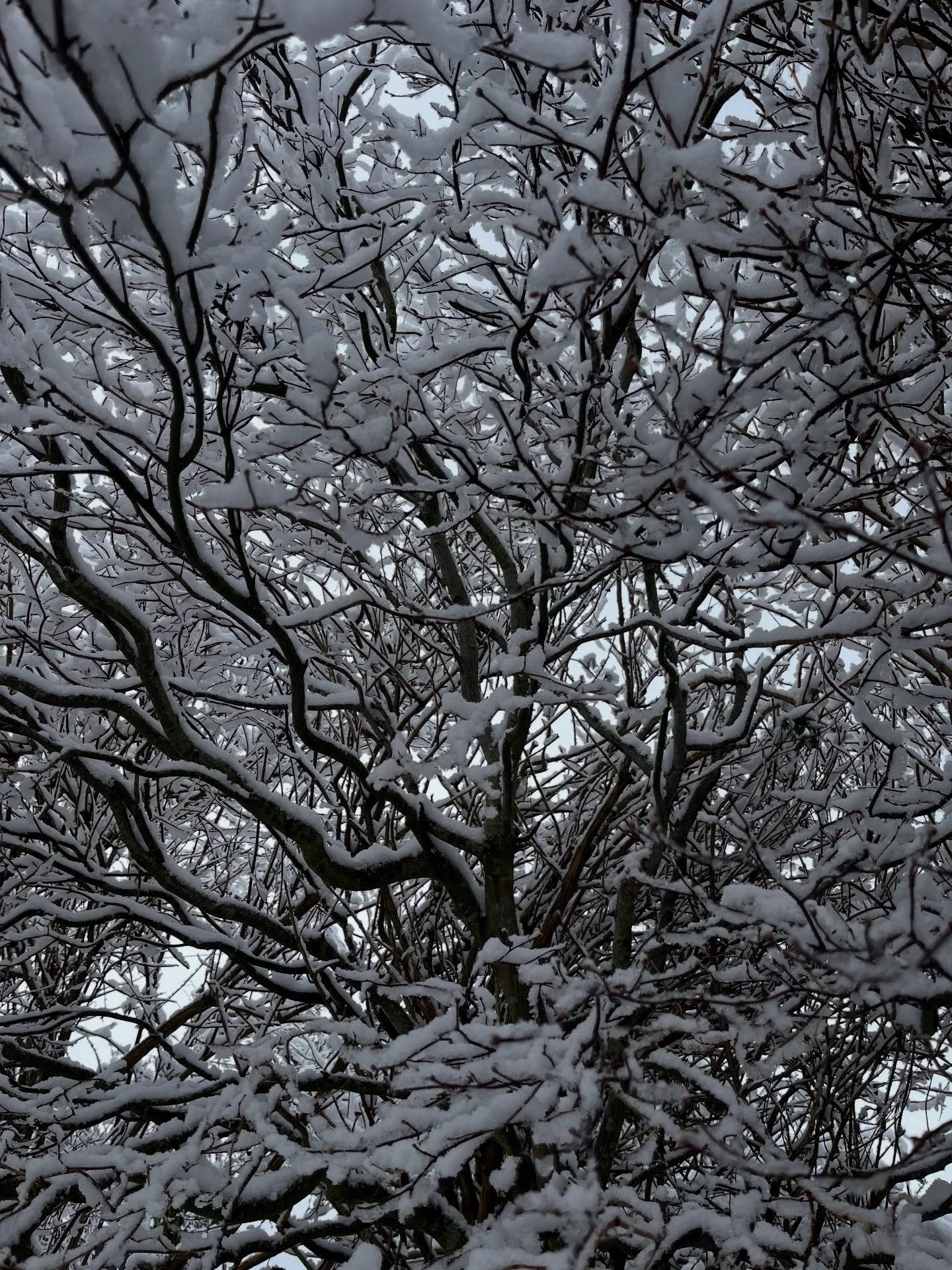 A snowy start to 2026, forced to slow down, stay still. 

Reminded of this chapter in Caroline Criado Perez&rsquo; book &lsquo;invisible women&rsquo; which unpacks the gender bias in snow clearing routes. 

In Karlskoga, Sweden 2011, councillors deci